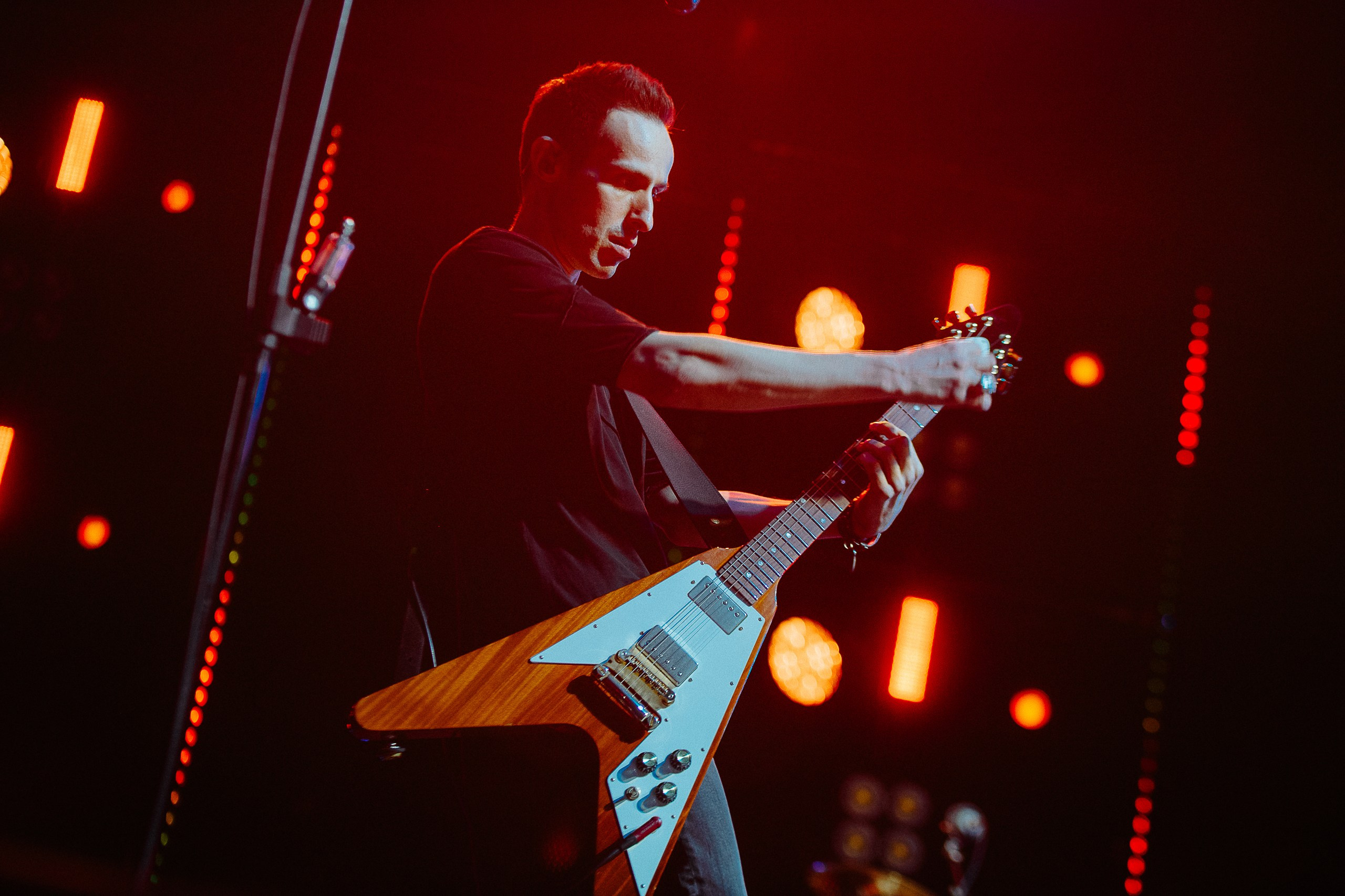 Звери 2025. Репортажный фотограф в Кемерово