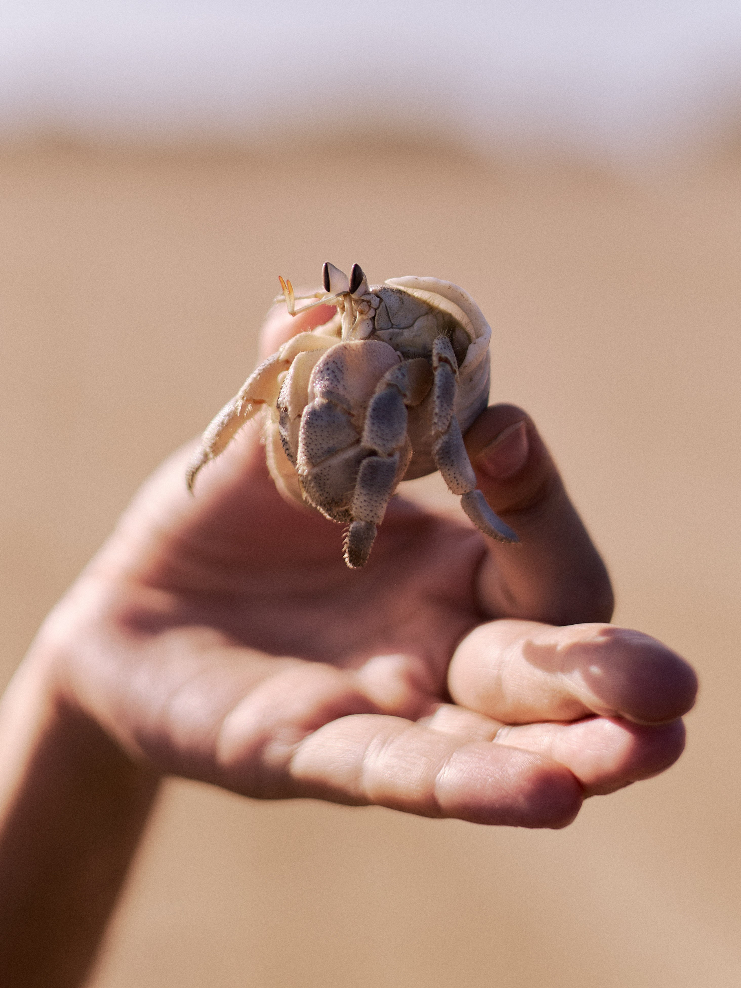 Mangrovy. Jorgis — фотограф в Хургаде / обучение фотографии