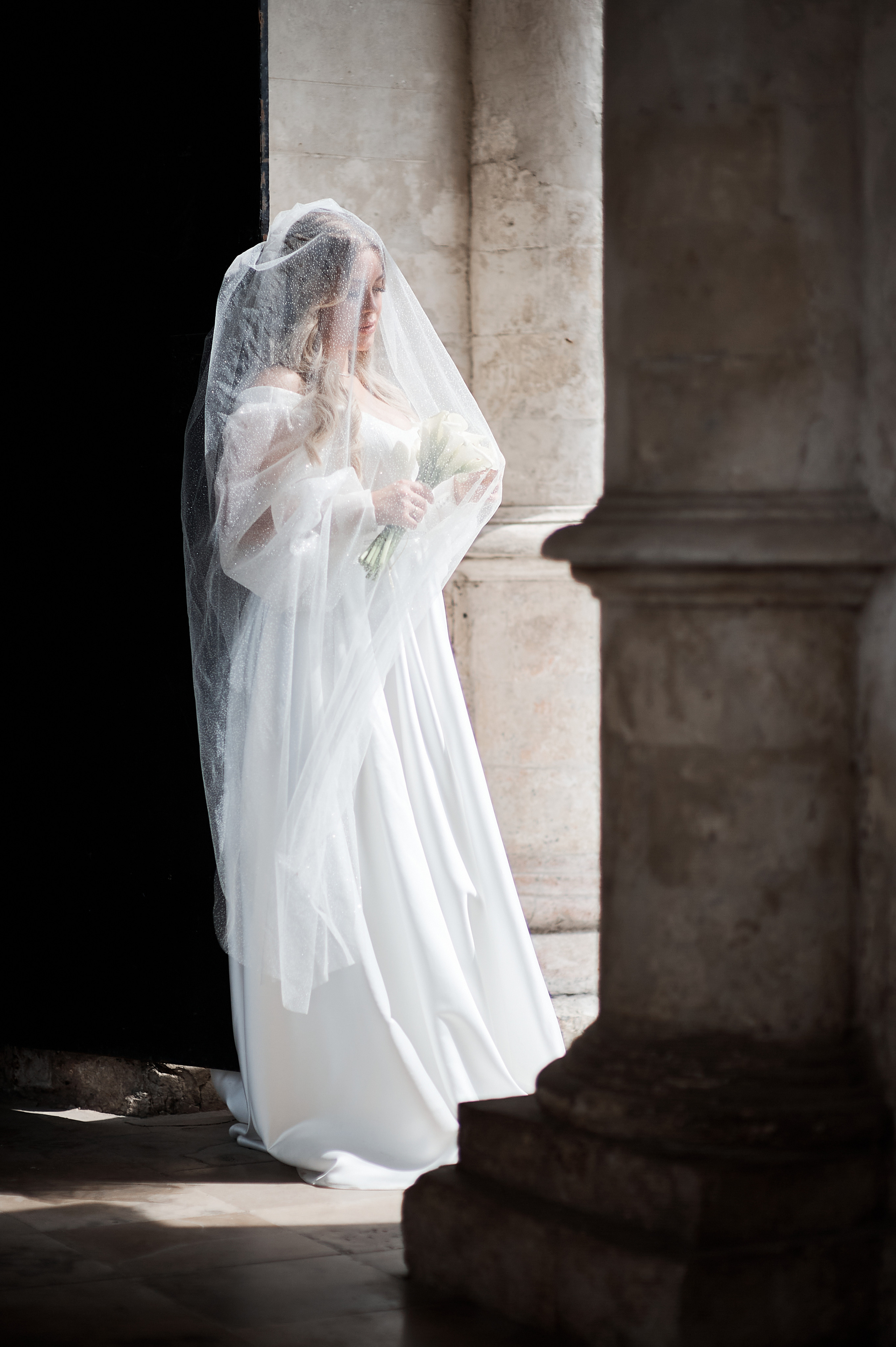 Свадьба София & Павел. Свадебный, семейный, фотограф в Коломне, Москве Дмитрий Бурцев