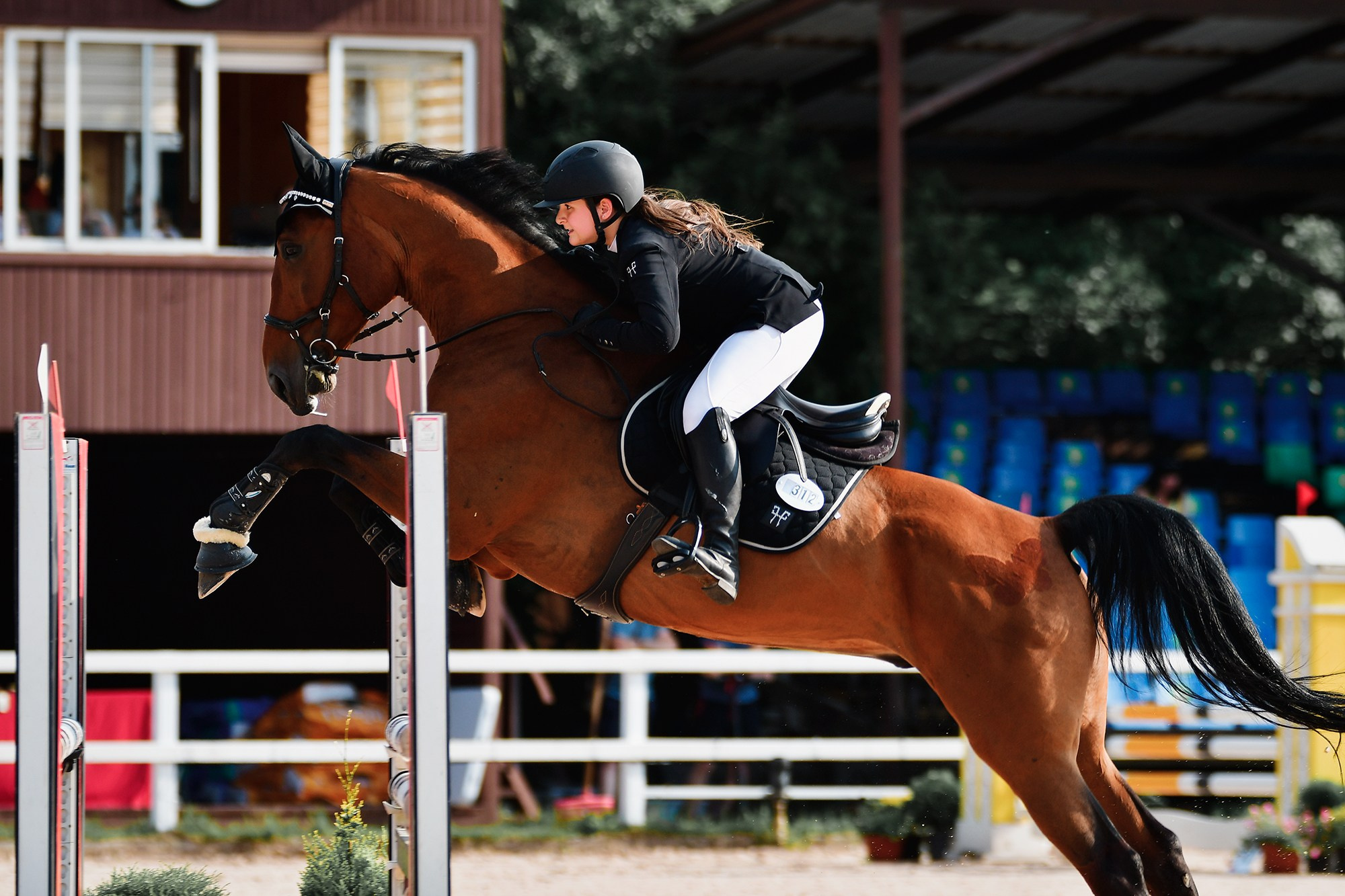 Конкур. Конный фотограф Alesya Safe