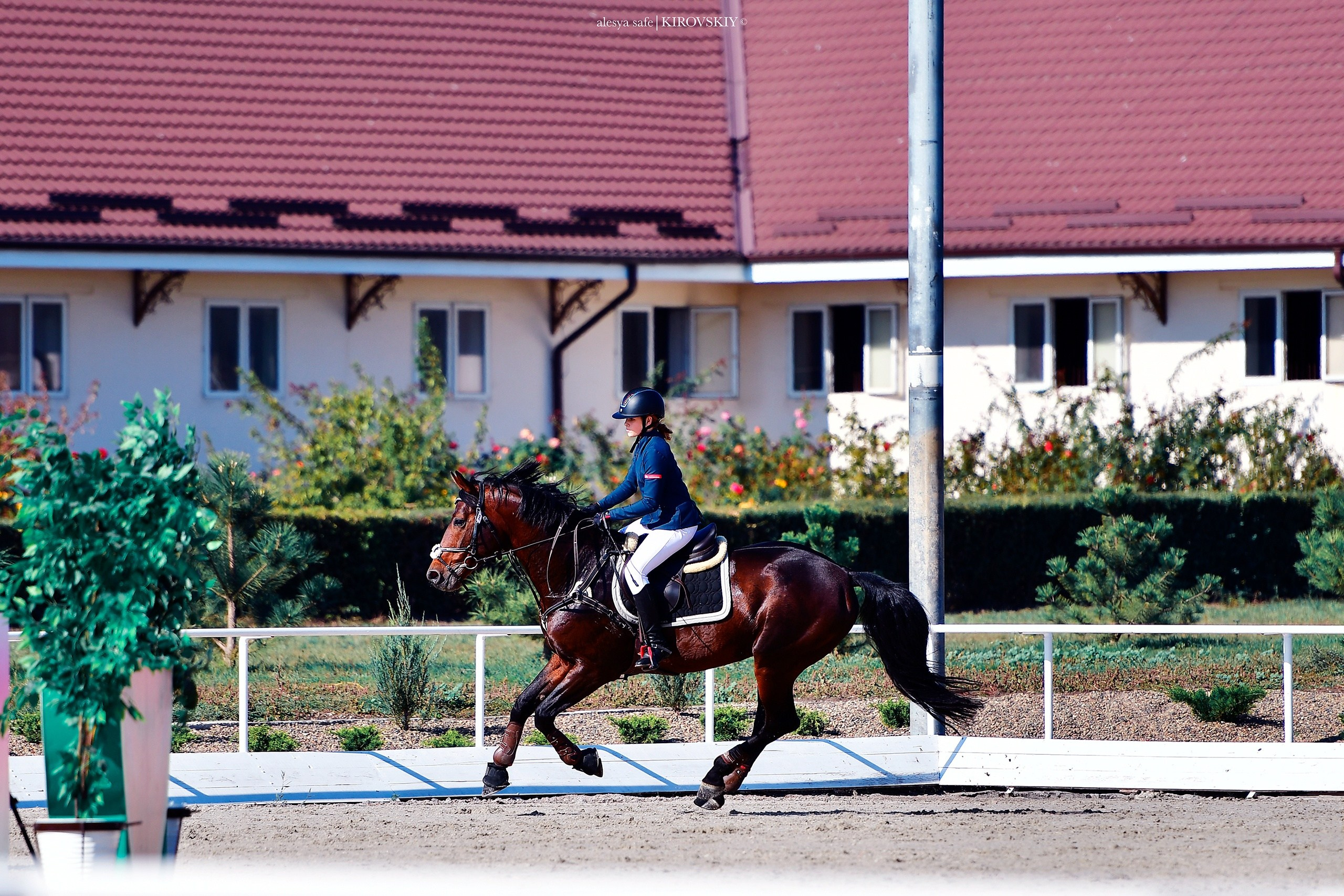 Кировский конный завод. Конный фотограф Alesya Safe
