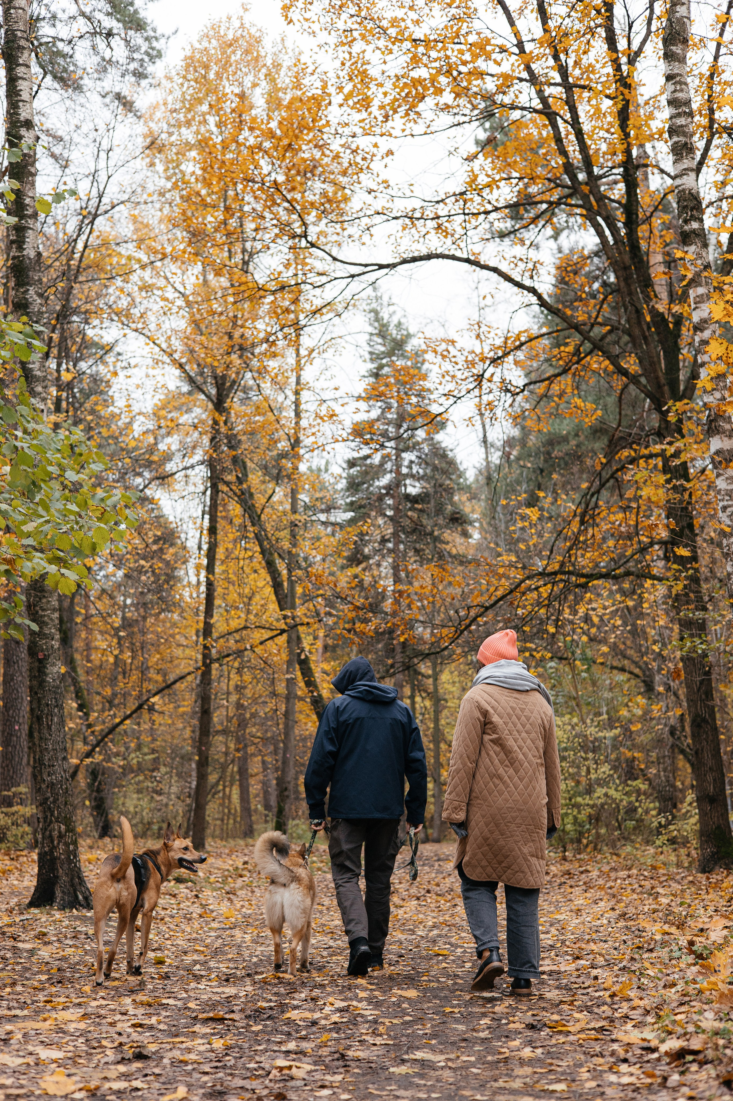 Нелли, Лёша, Рэй и Норд. Фотограф Анна Луценко Москва
