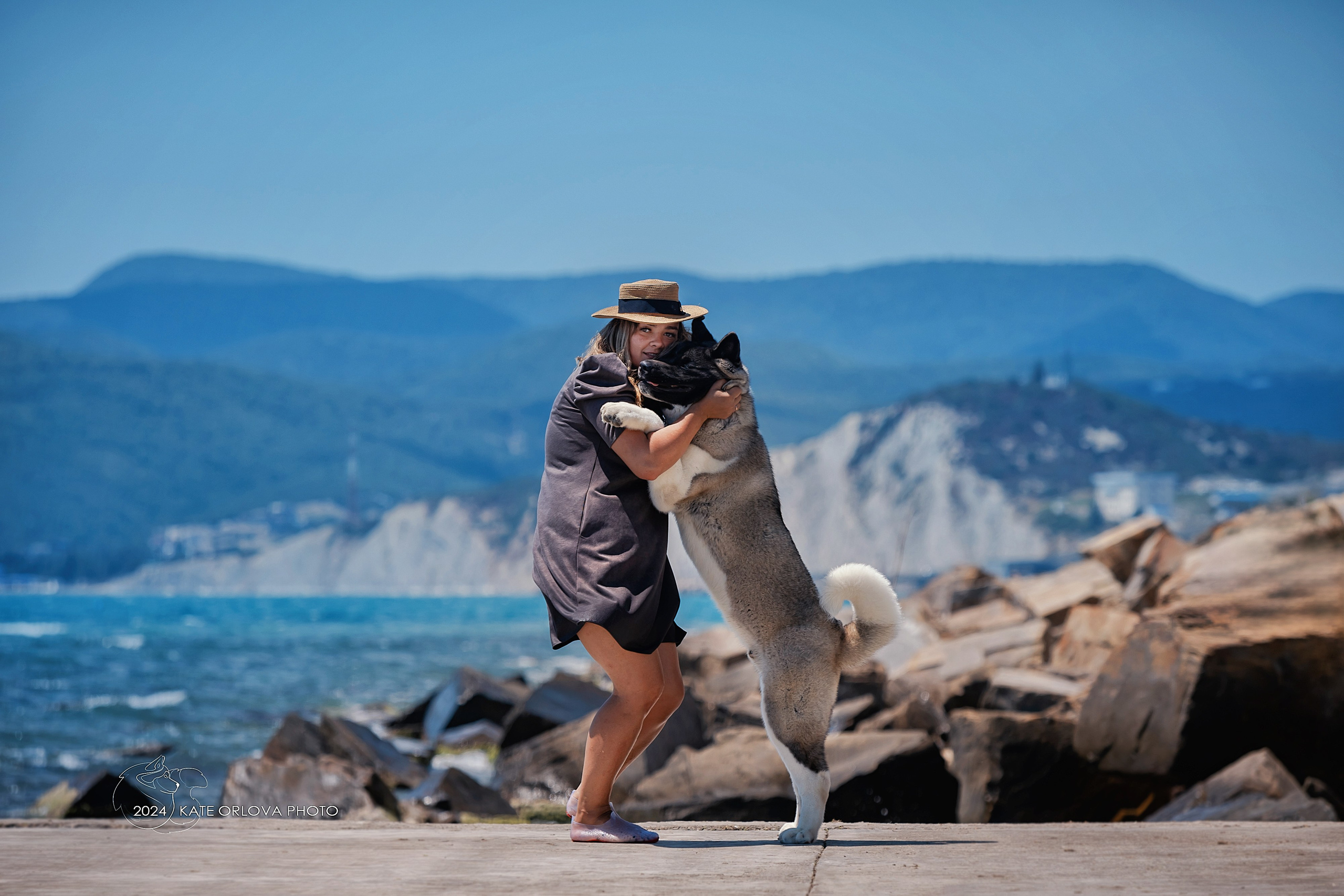 Фотосъемка собак, щенков, на выставках, фотограф анималист Россия воронеж. Питомник собак Акита, Хаски, Корги