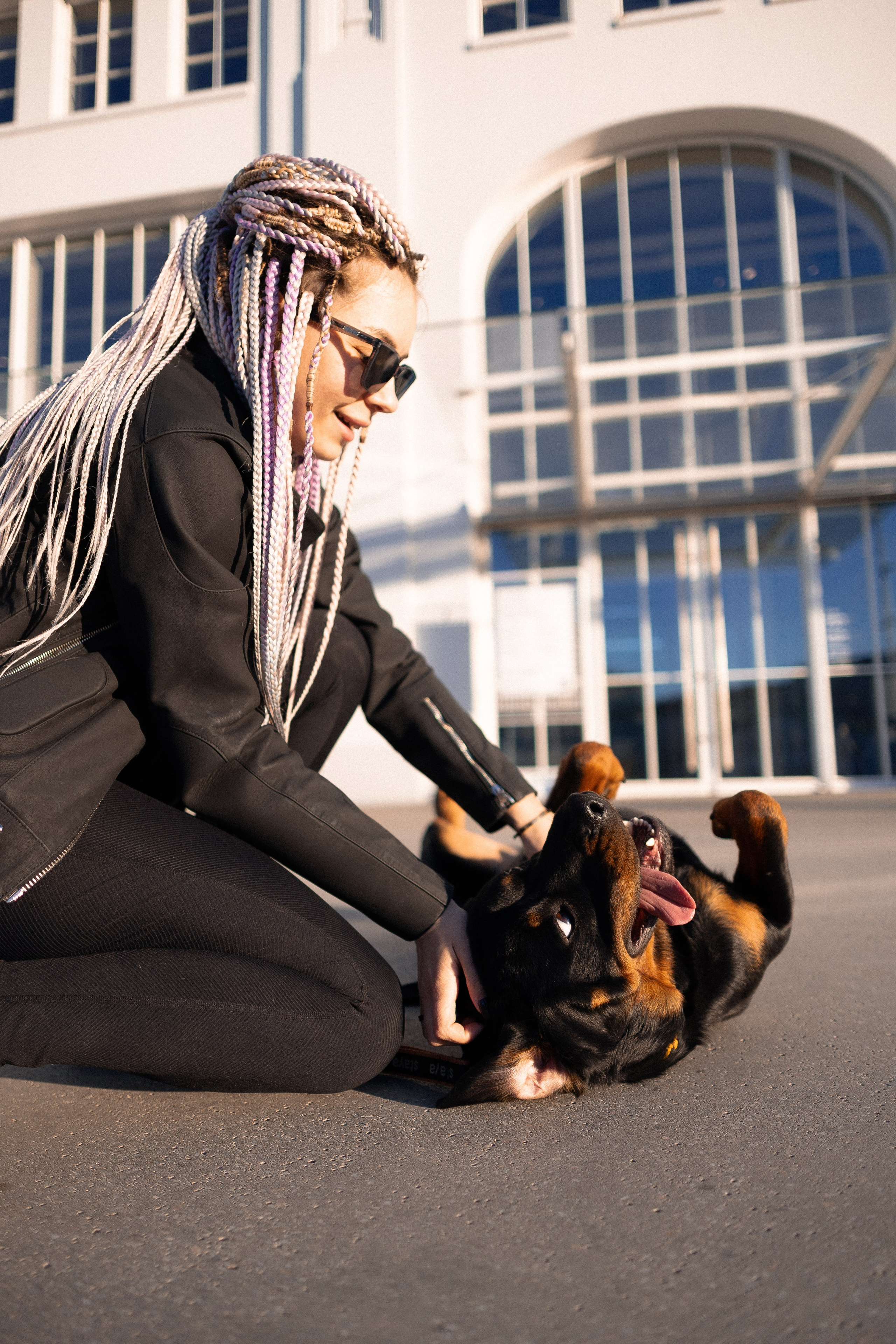 Катя, Леша, Трой и Лея. Фотограф и видеограф анималист Аганина Дарья