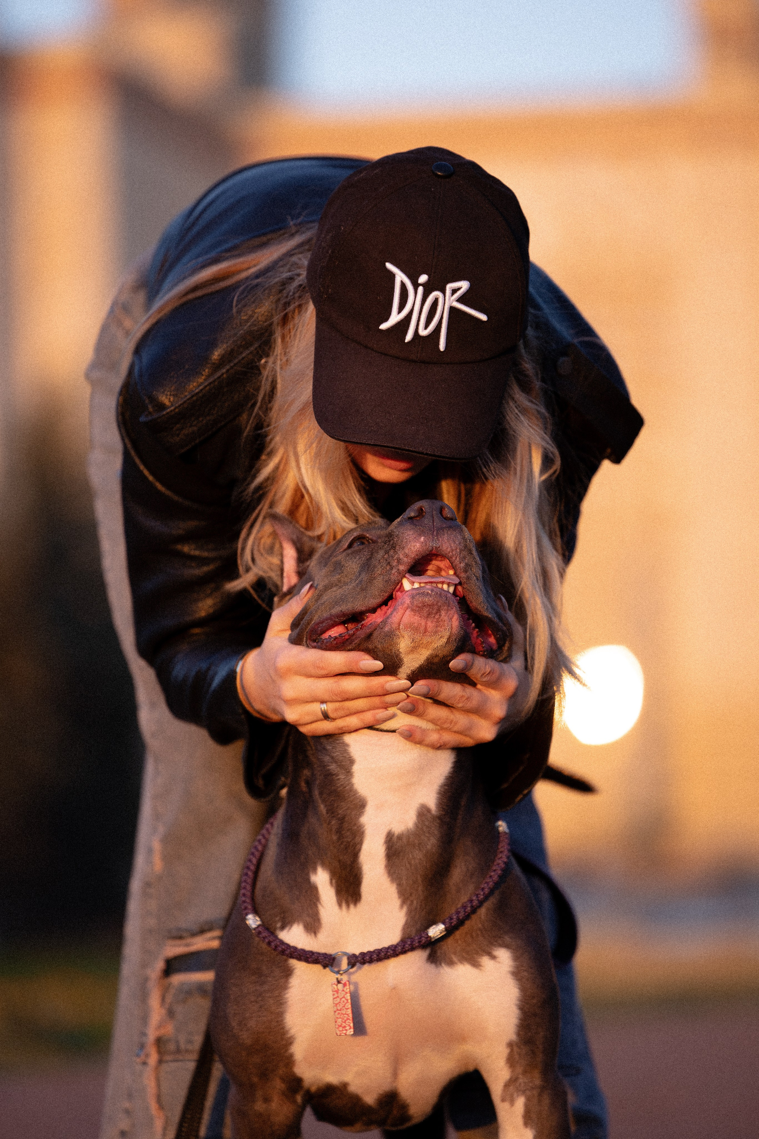 Катя, Леша, Лея и Трой. Фотограф и видеограф анималист Аганина Дарья