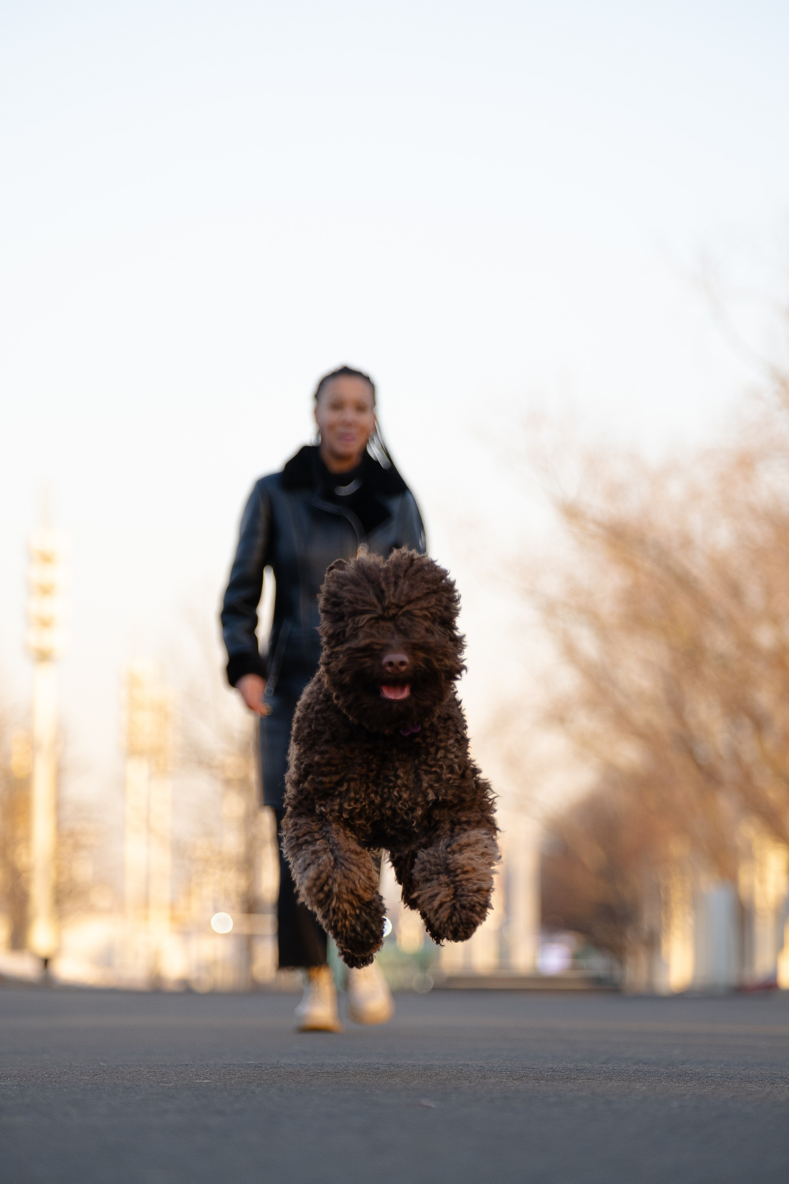 Тьеринна и Миша. Фотограф и видеограф анималист Аганина Дарья