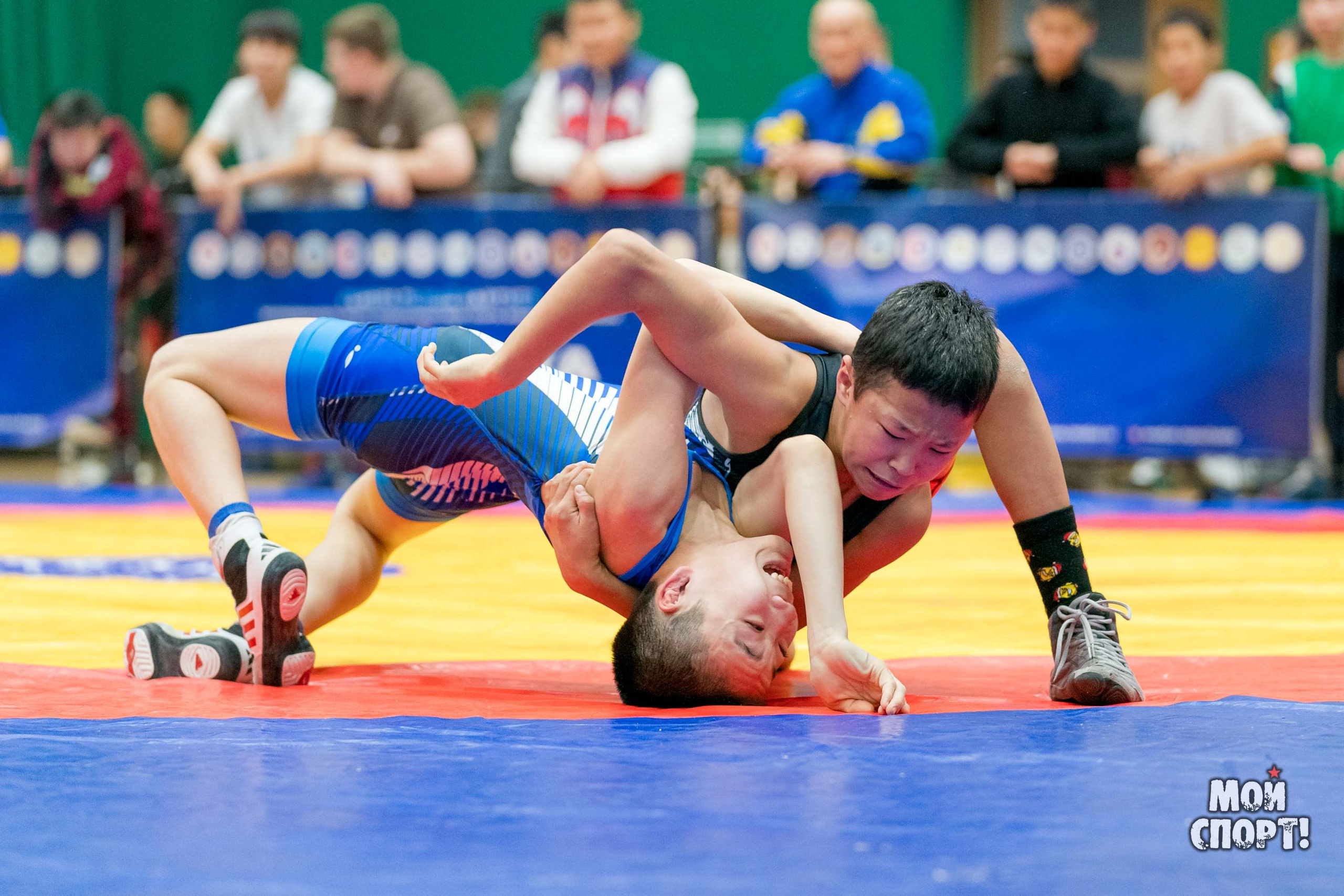 Первенство РС (Я) по греко-римской борьбе пам. Д. Г. Максимова. Студия «Мой Спорт!» — все о спорте в Якутии