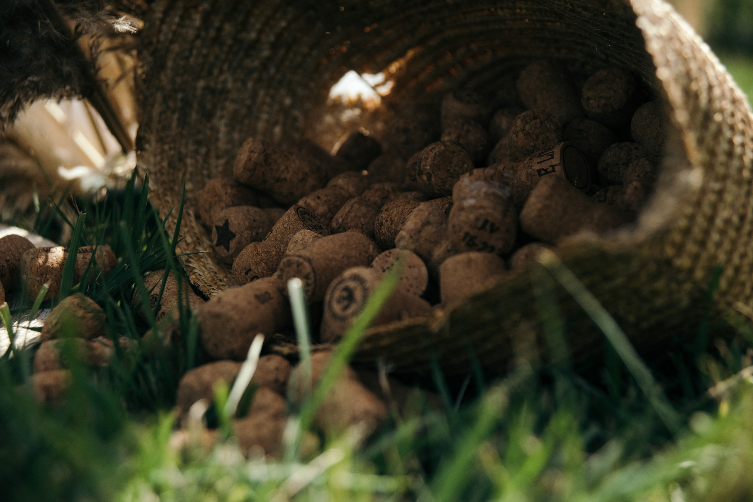 Свадьба на природе