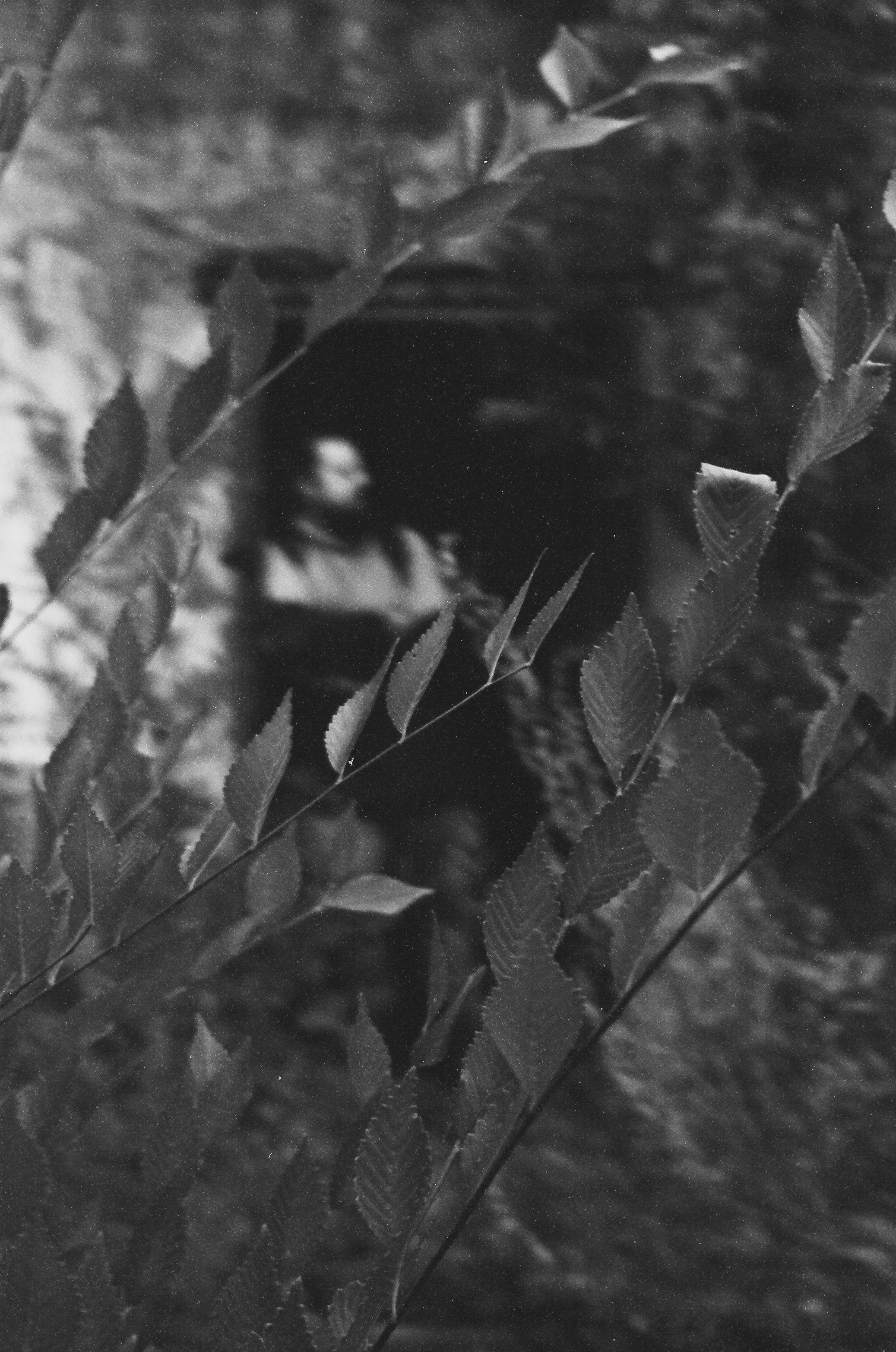 Павел. Плёночная съёмка. Фотограф Регина Крикунова г. Красноярск