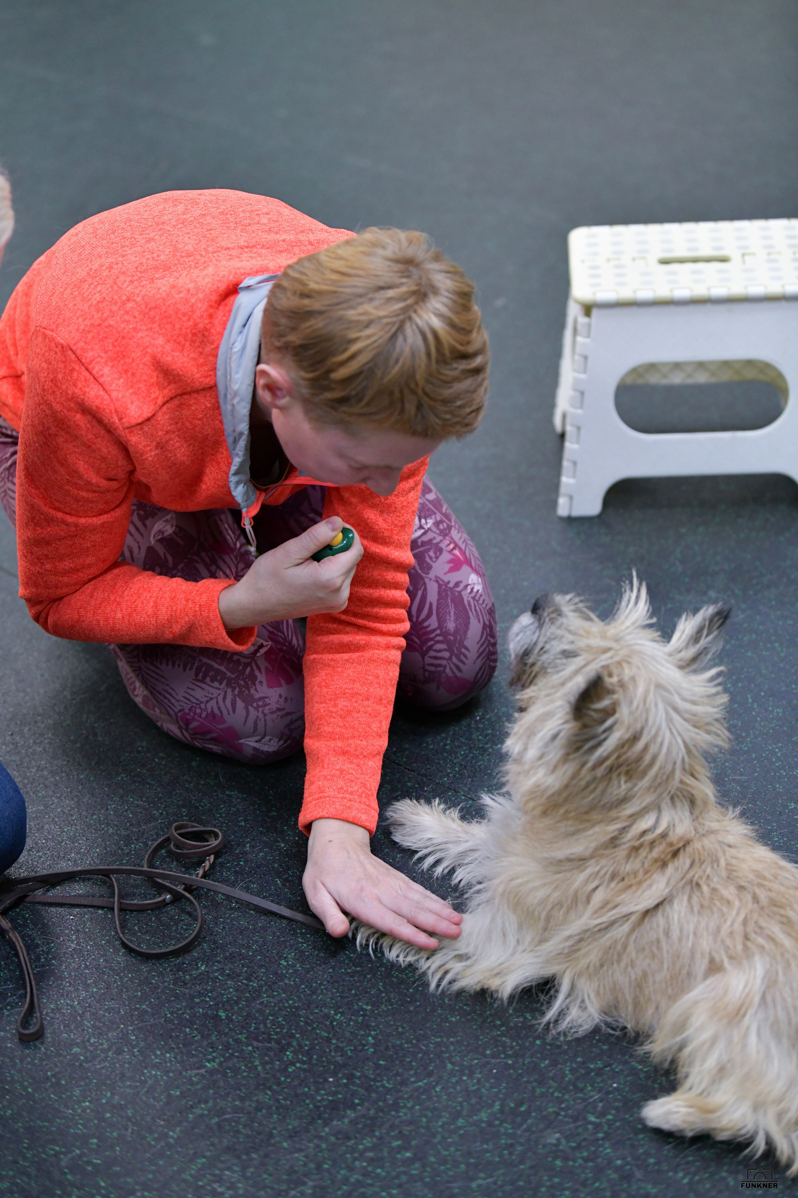 Кинологический клуб «Бодрый хвост». Свой взгляд через объектив