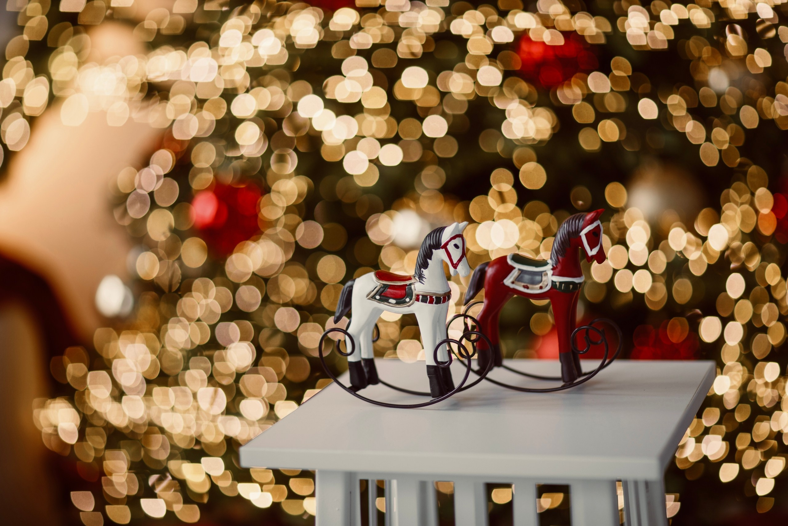 Balance (Станке-Димитрова, 54а, БЦ Десна). Портретный, семейный, свадебный фотограф в Брянске Маргарита Василькова