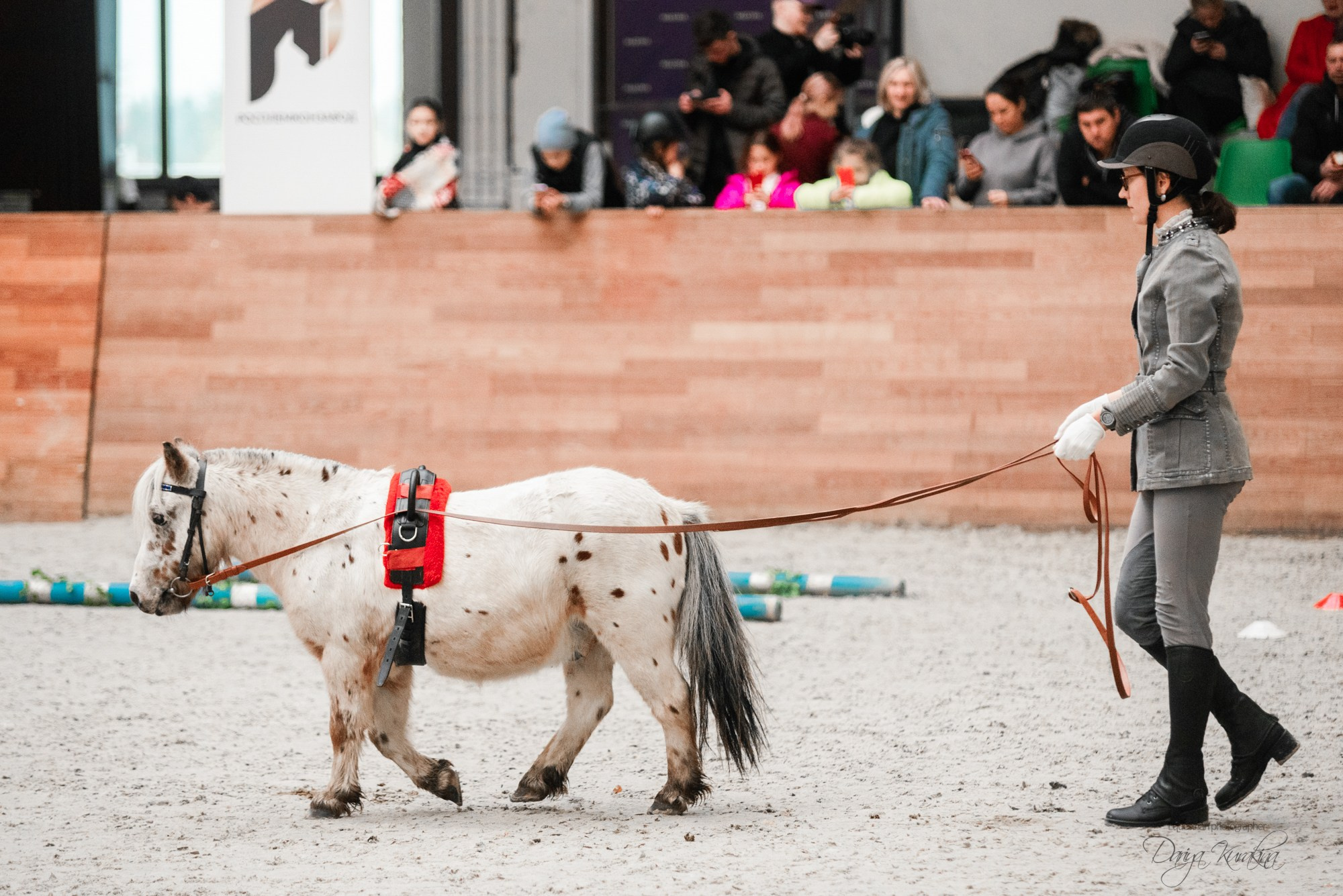 8-я международная выставка Конная Россия. Конный фотограф Куракина Дарья • Фотосессии с лошадьми