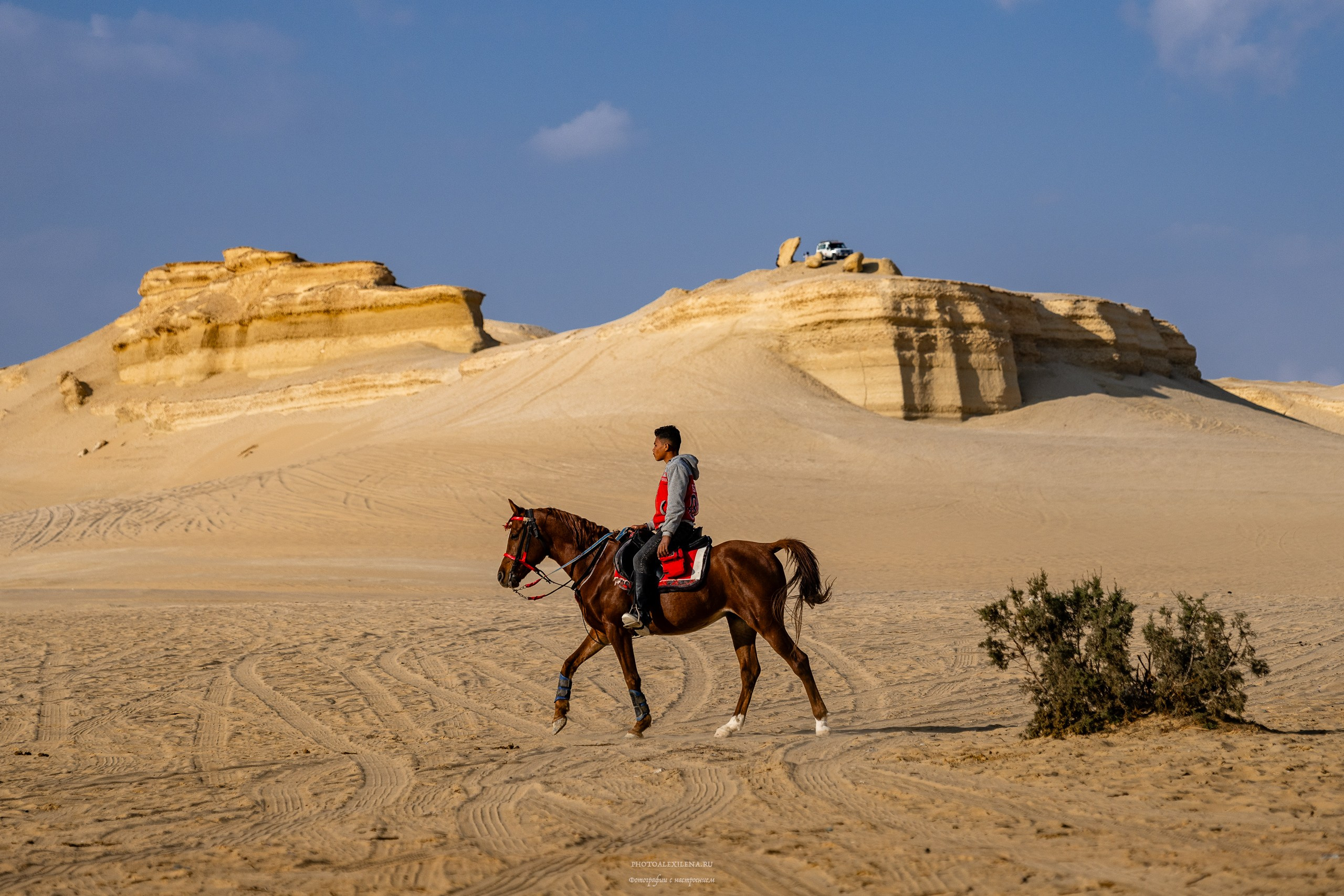 Снова в пустыню, за скелетами…. Авторские стильные фотокартины