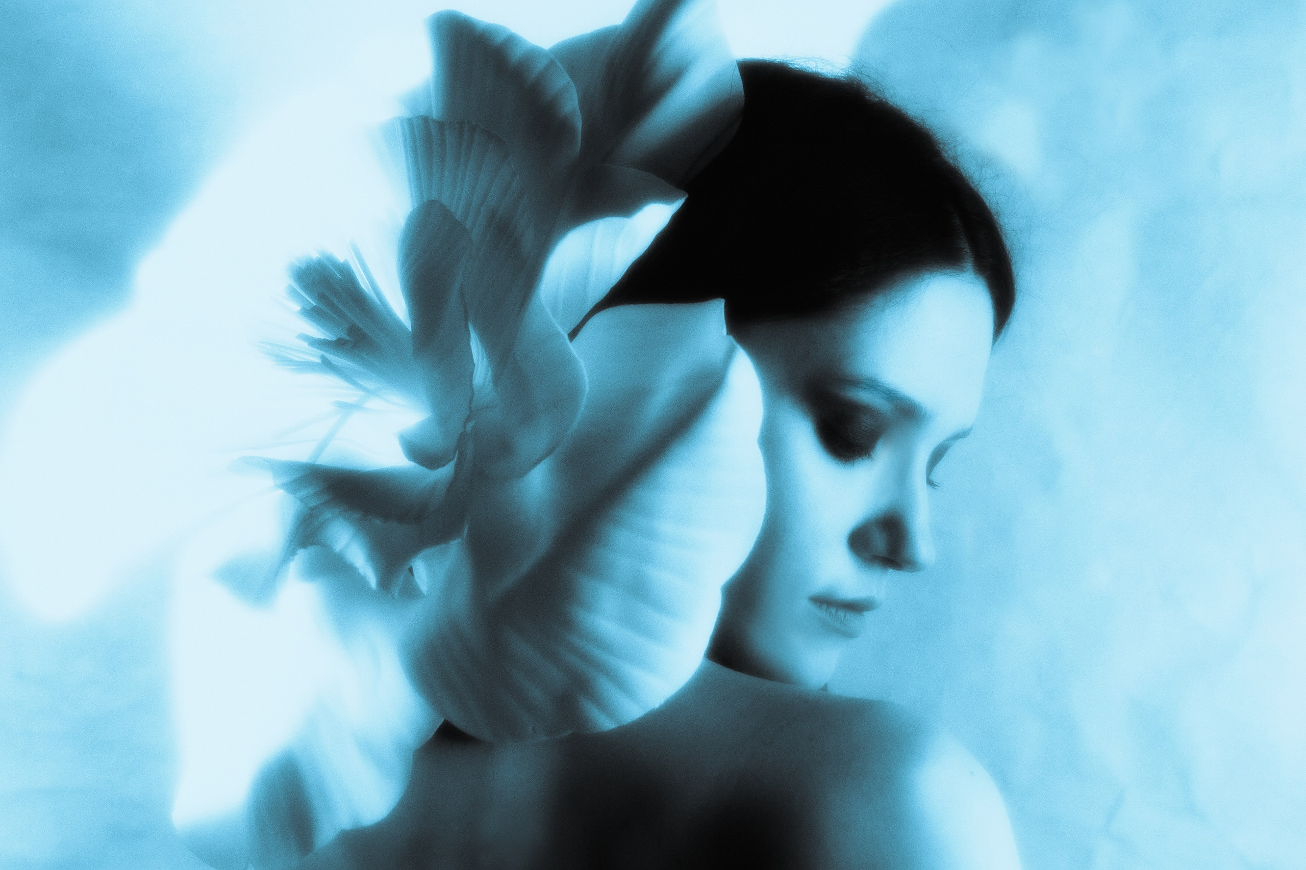 Flowers within. Fashion Photographer Oxana Chernomorets