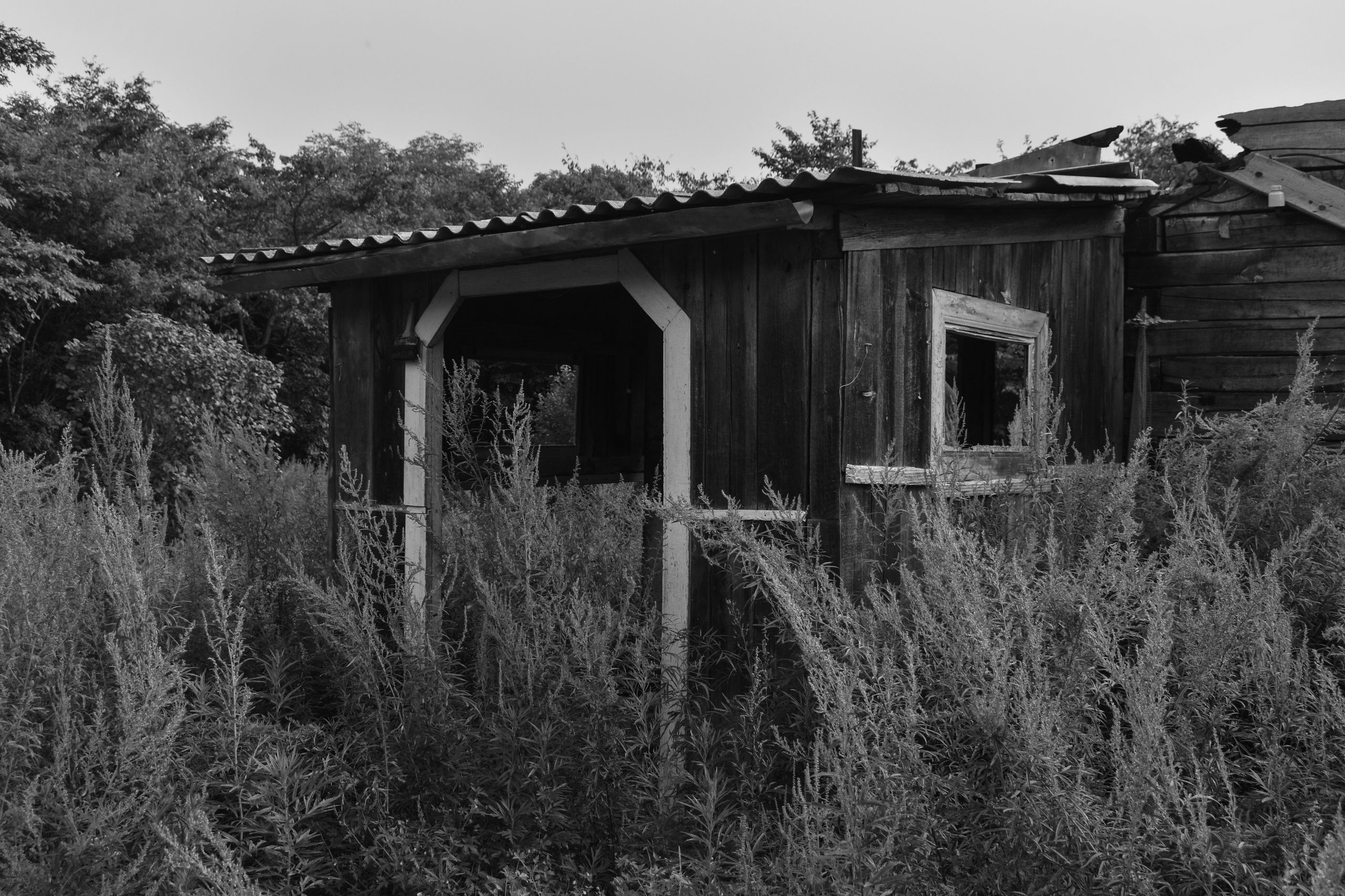 Abandoned. Портретный фотограф во Владивостоке Елена Шкурко