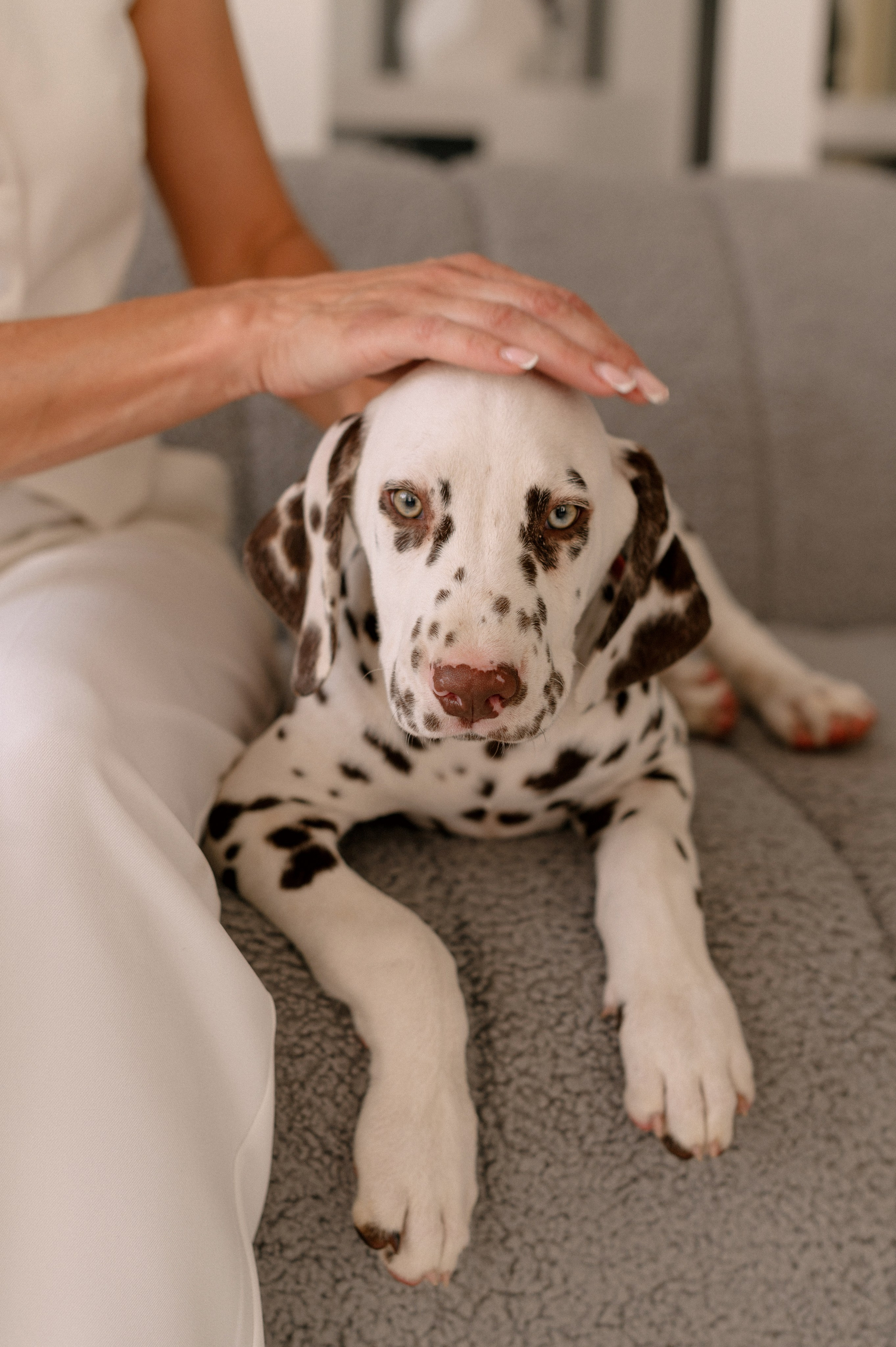 ТАТЬЯНА. Шашкова Вероника / Свадебный и семейный фотограф Москва и Ярославль
