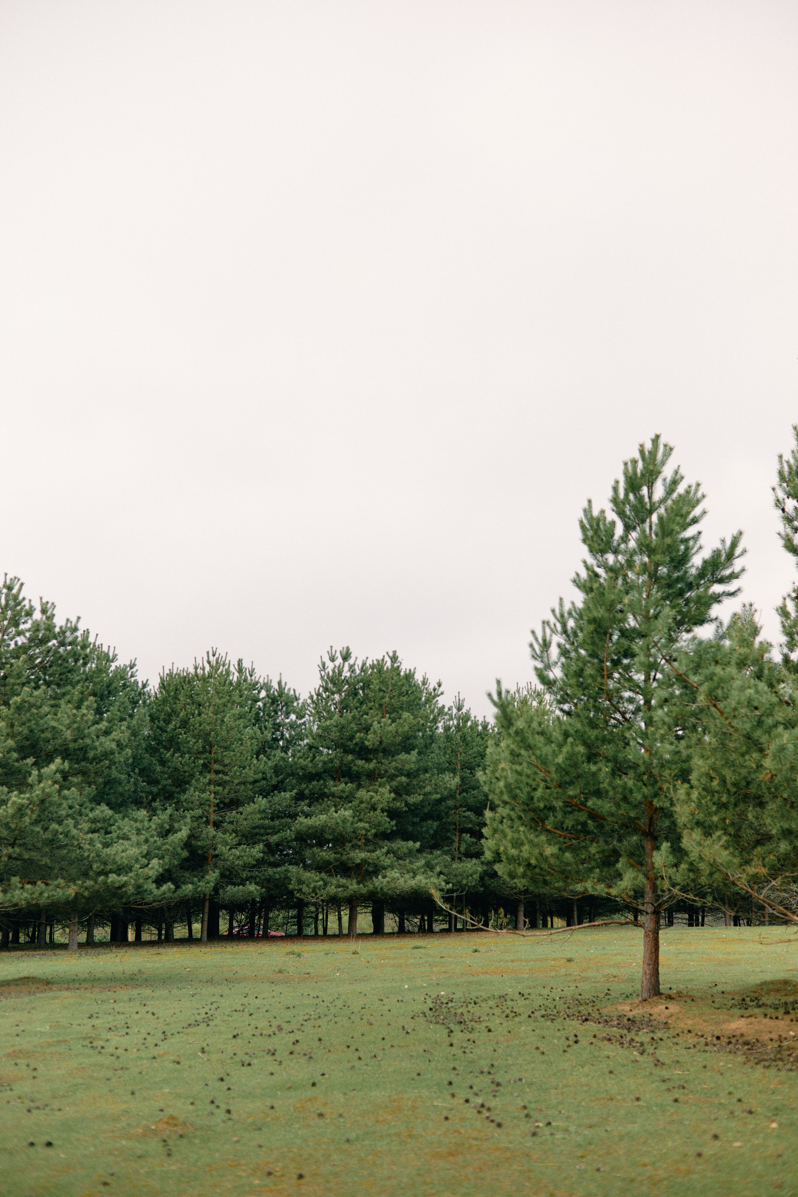 Бутик-отель Поле летом. Профессиональный Фотограф во Владимире, в Москве и в Суздале — Полина Романычева