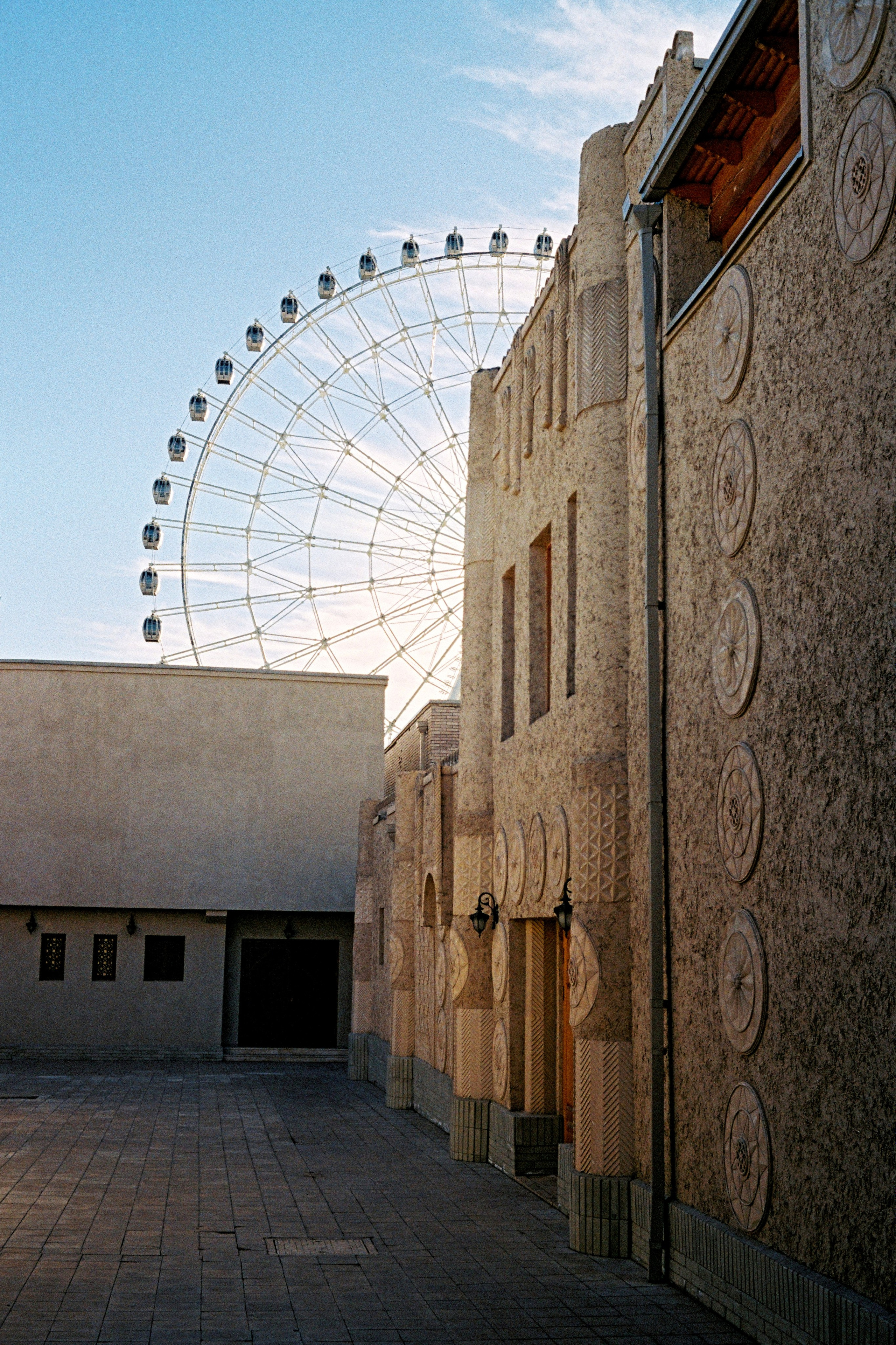 Tashkent 2022-2023. Dima Voronetsky