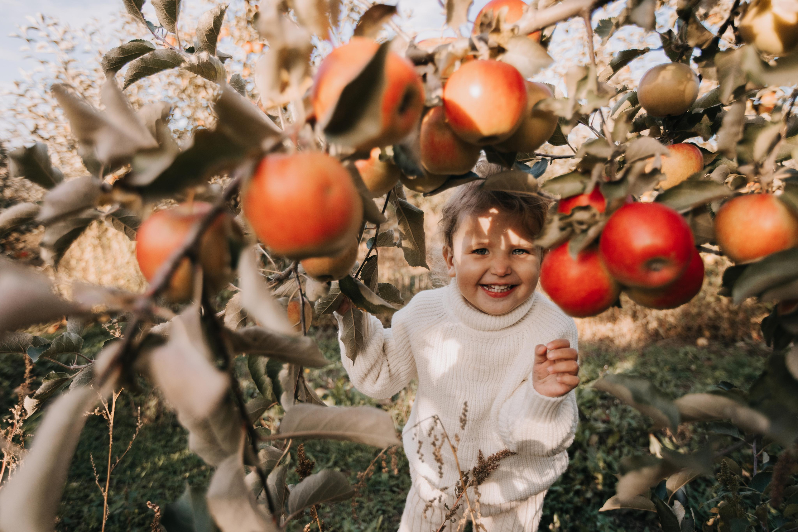 Юля, Уля и яблоки. Семейный фотограф в Белгороде Аня Никифорова