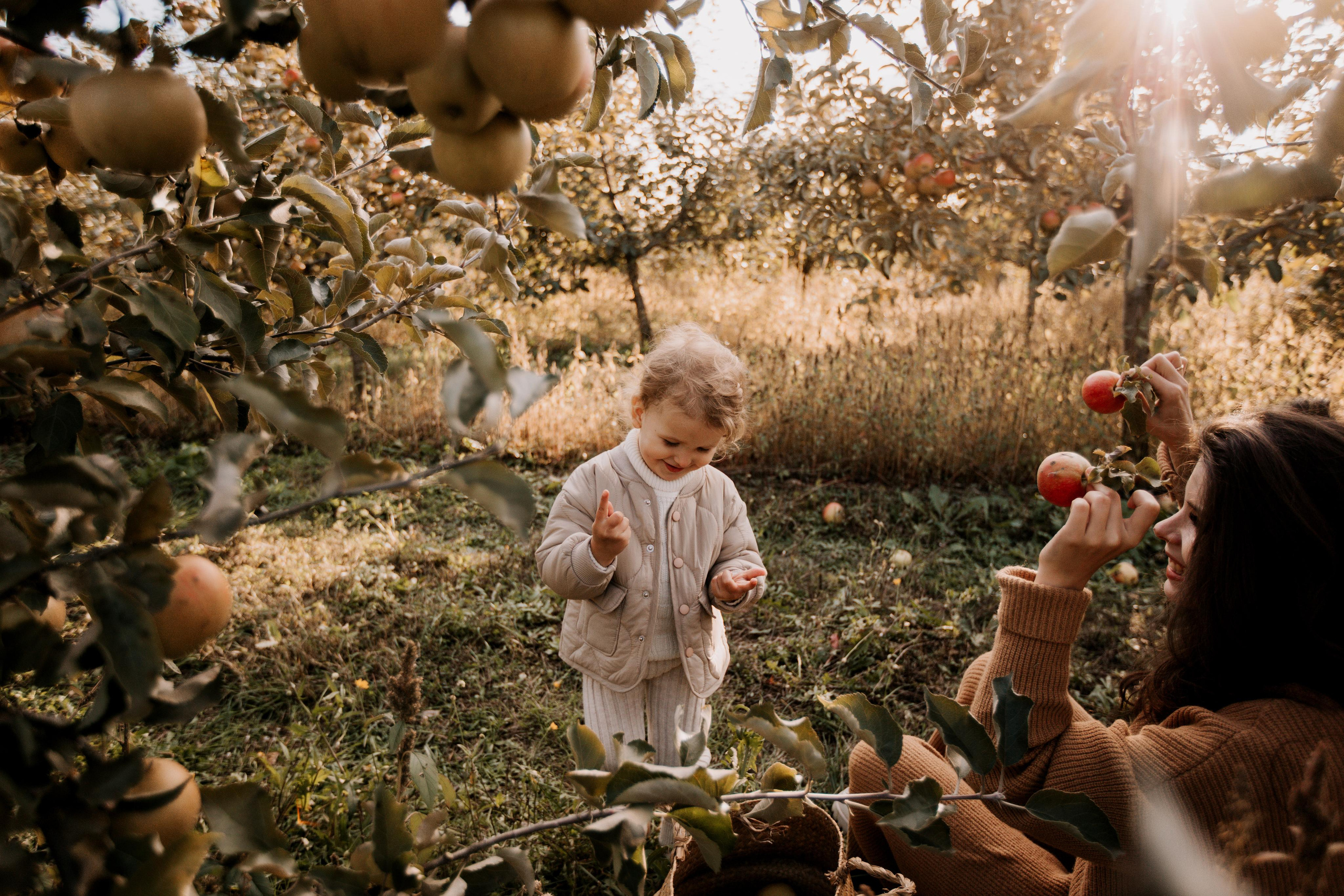Юля, Уля и яблоки. Семейный фотограф в Белгороде Аня Никифорова