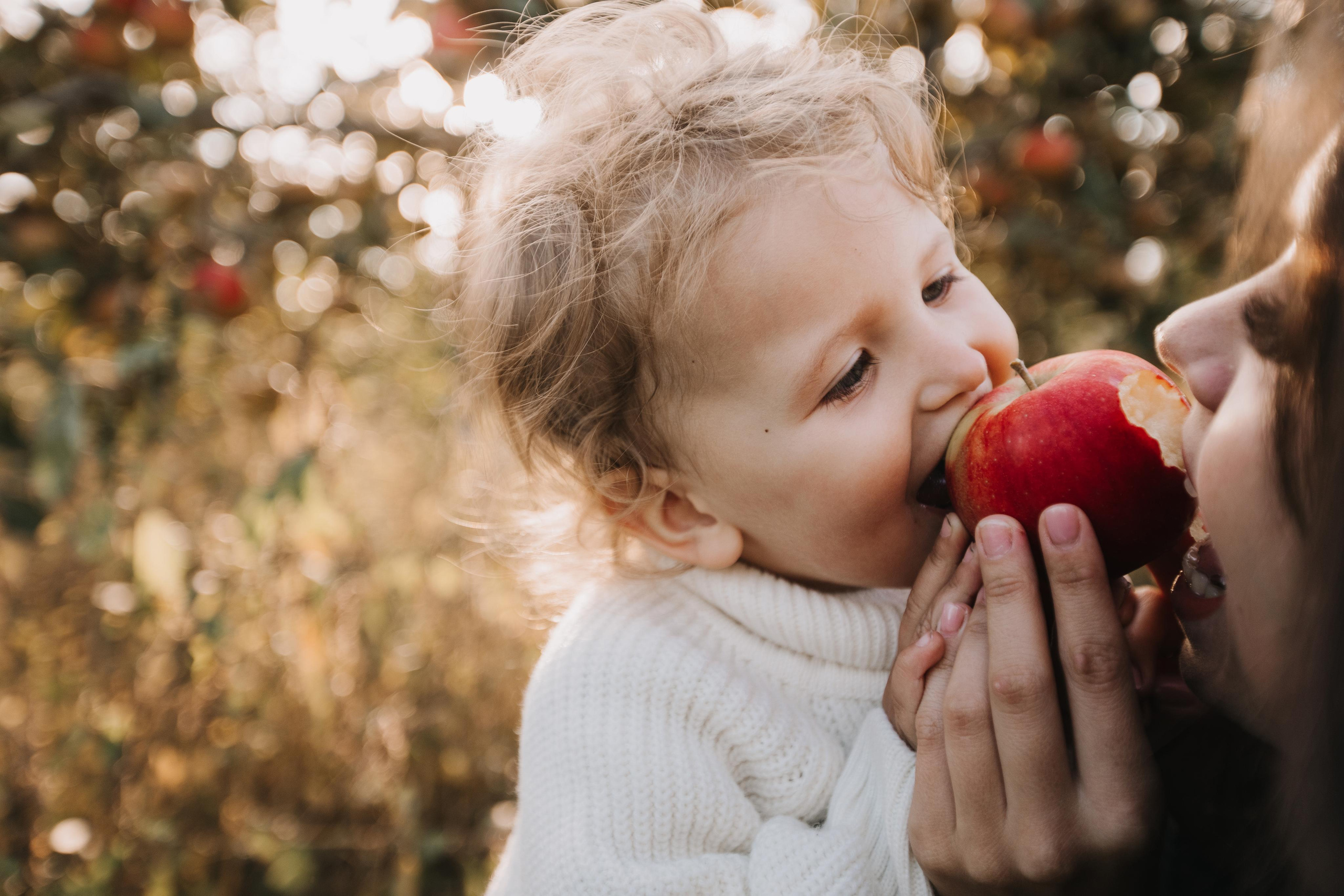 Юля, Уля и яблоки. Семейный фотограф в Белгороде Аня Никифорова