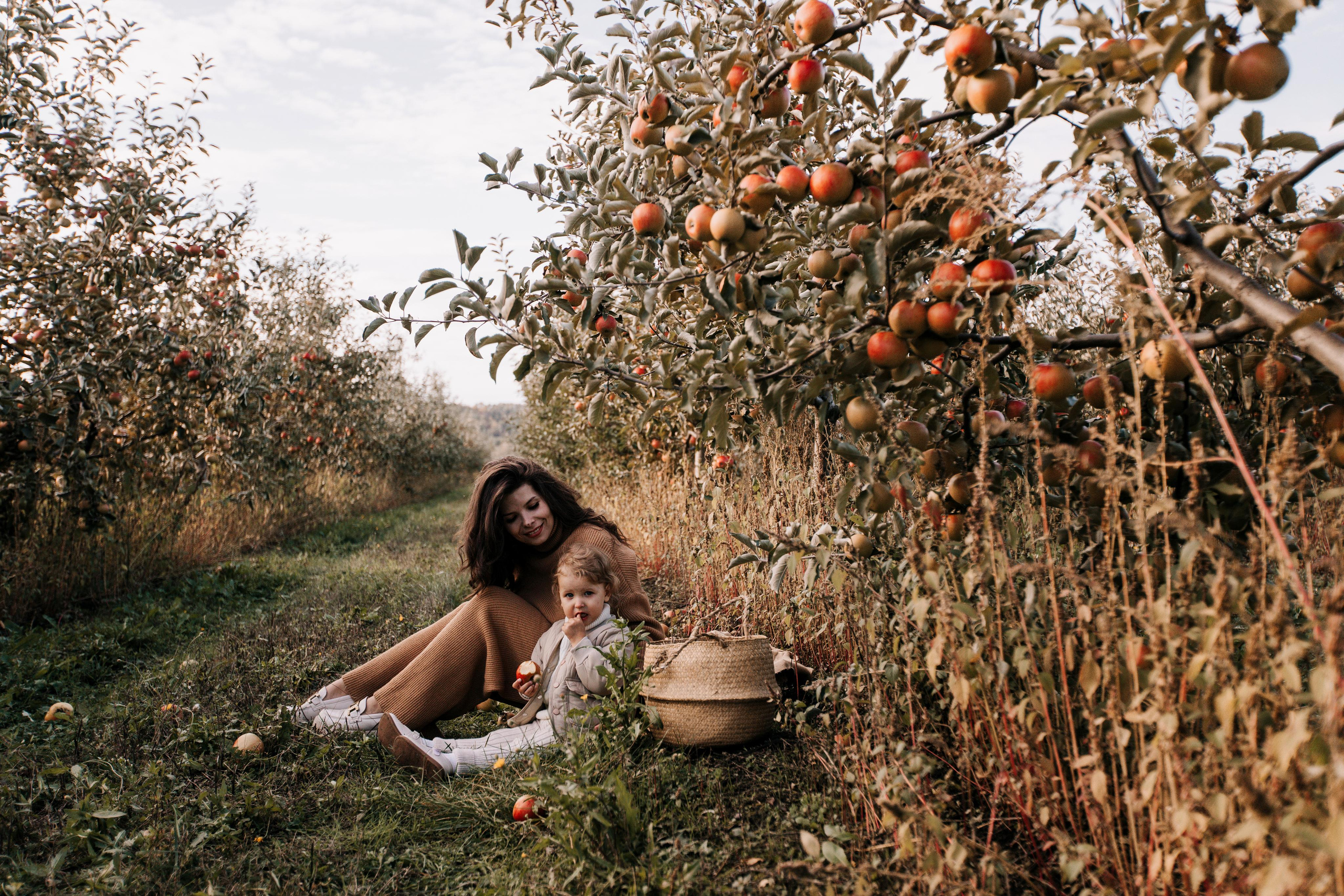 Юля, Уля и яблоки. Семейный фотограф в Белгороде Аня Никифорова