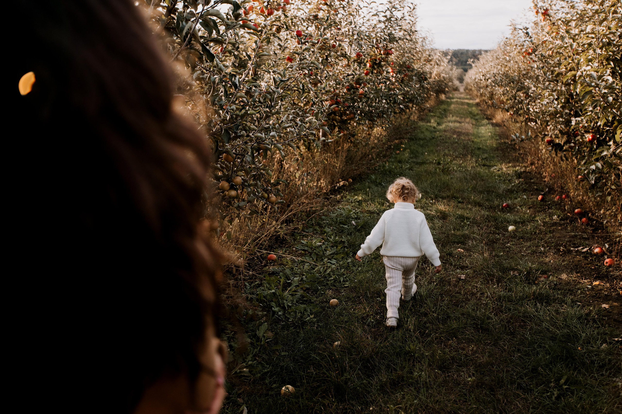 Юля, Уля и яблоки. Семейный фотограф в Белгороде Аня Никифорова