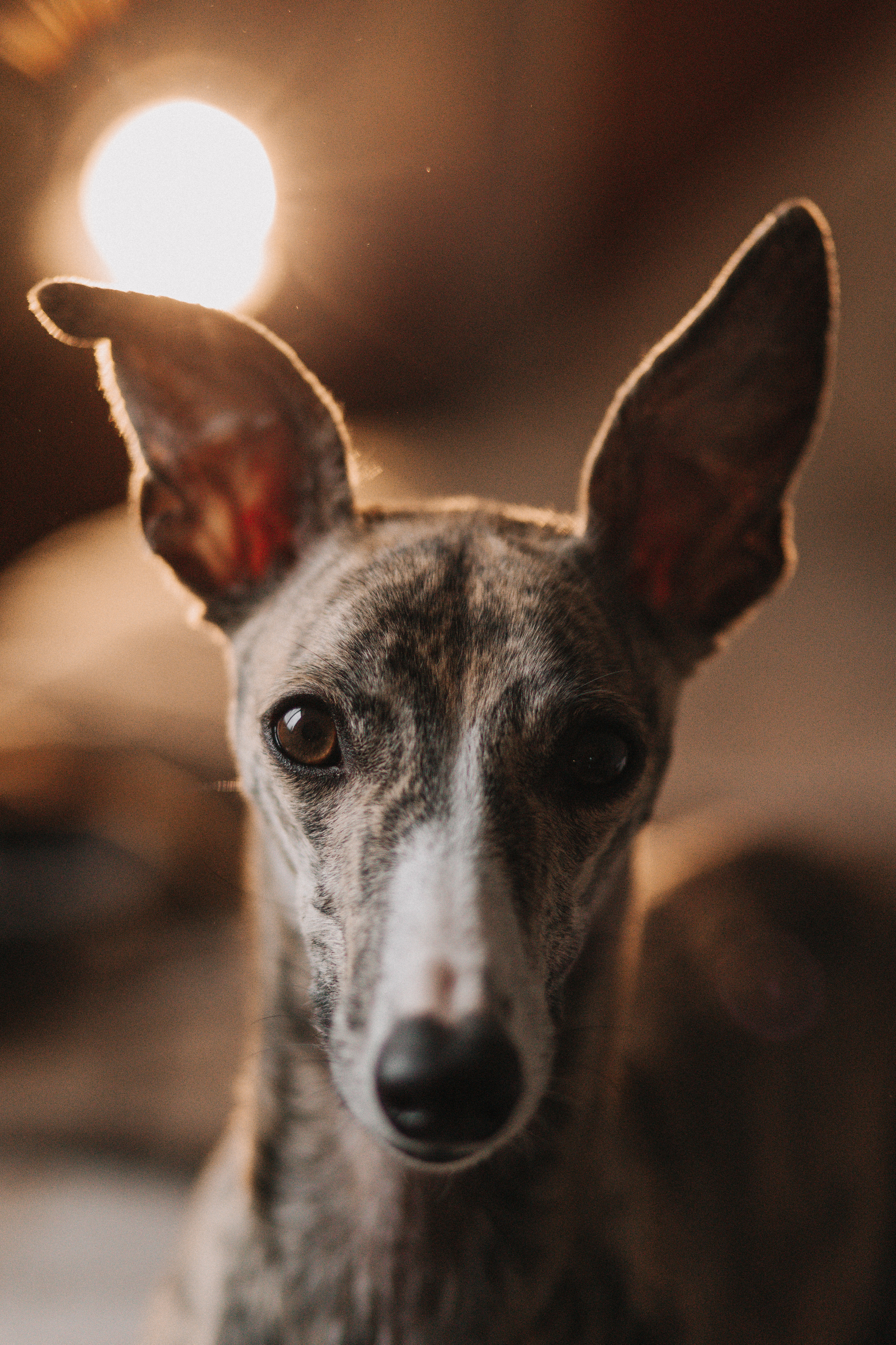 7я. Семейный фотограф в Белгороде Аня Никифорова