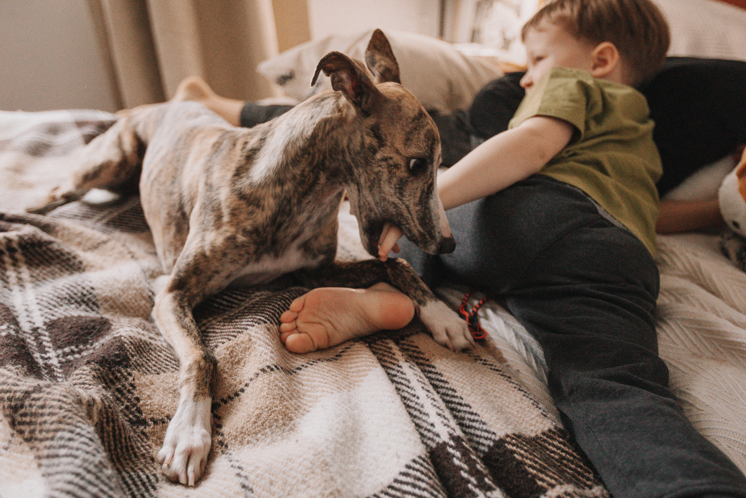 7я. Семейный фотограф в Белгороде Аня Никифорова