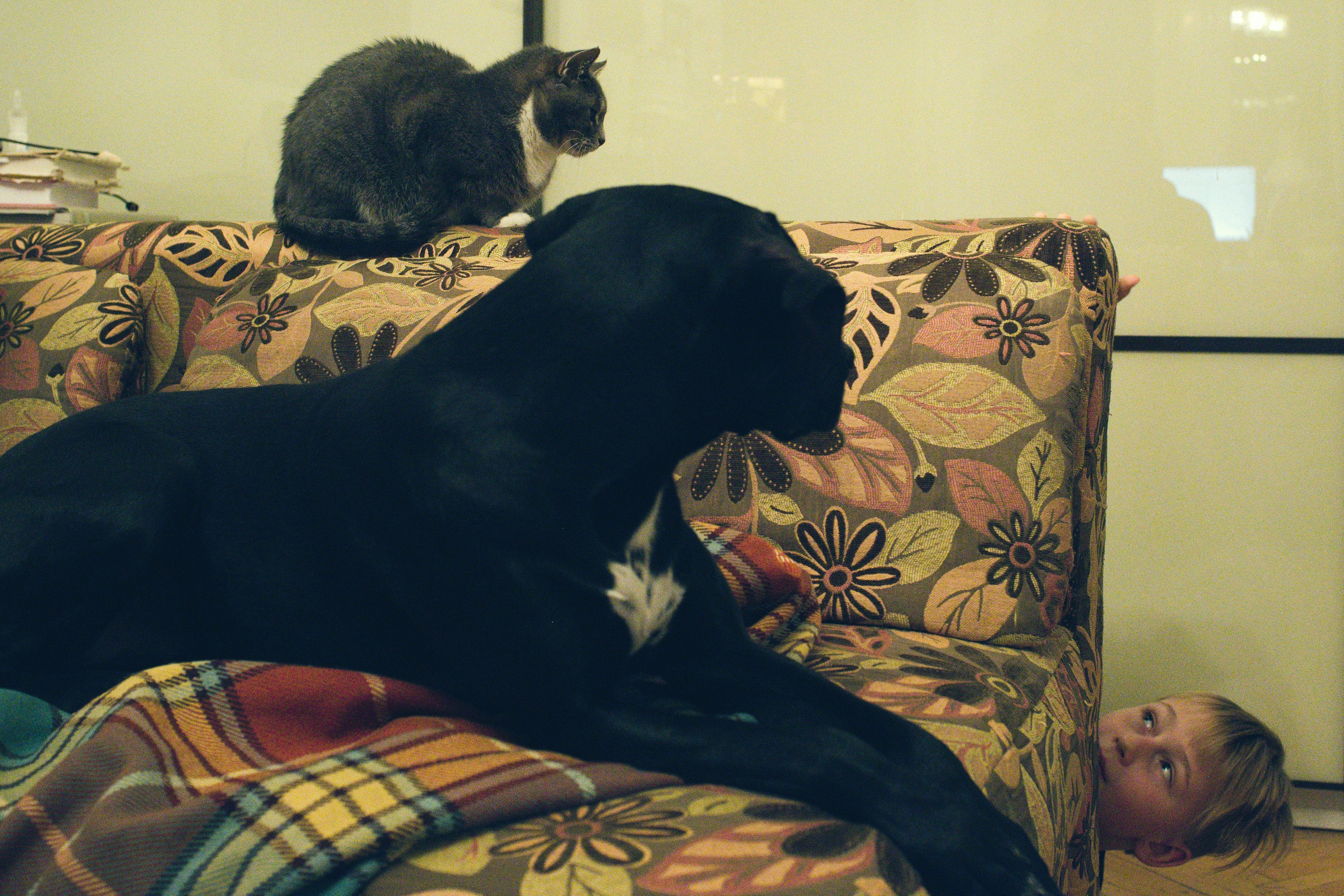 Чина и её люди. Дмитрий Бречалов