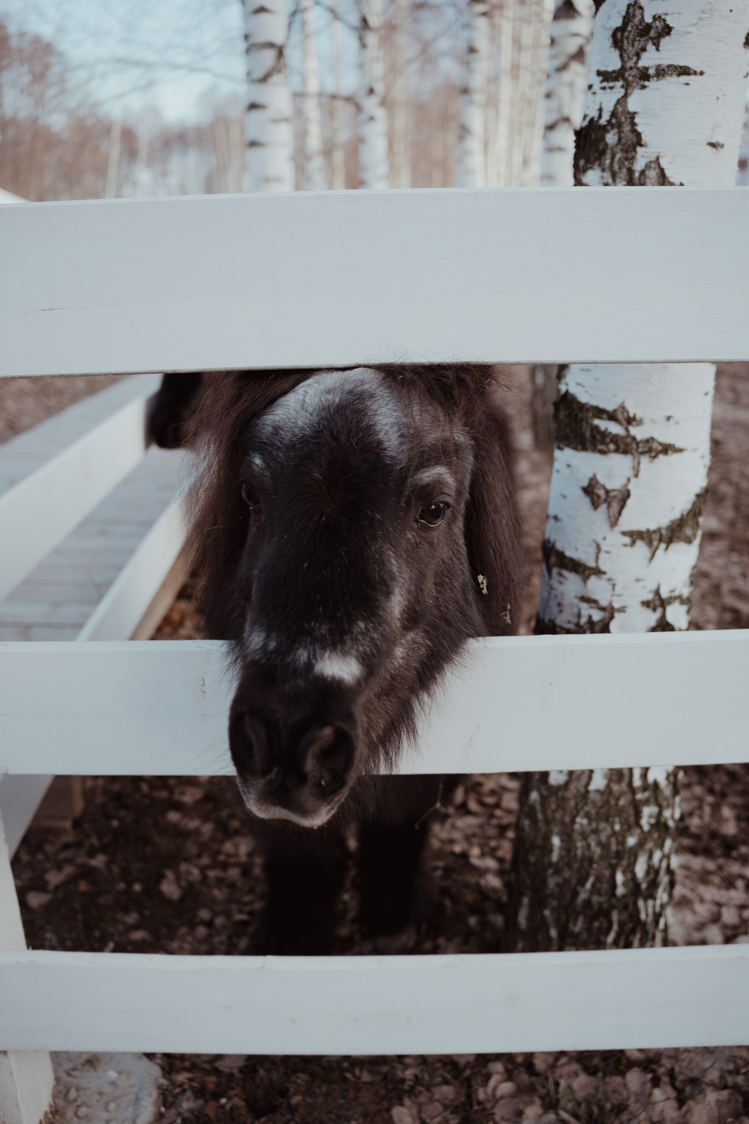 Кино. Концептуальный фотограф Шлыкова Ольга
