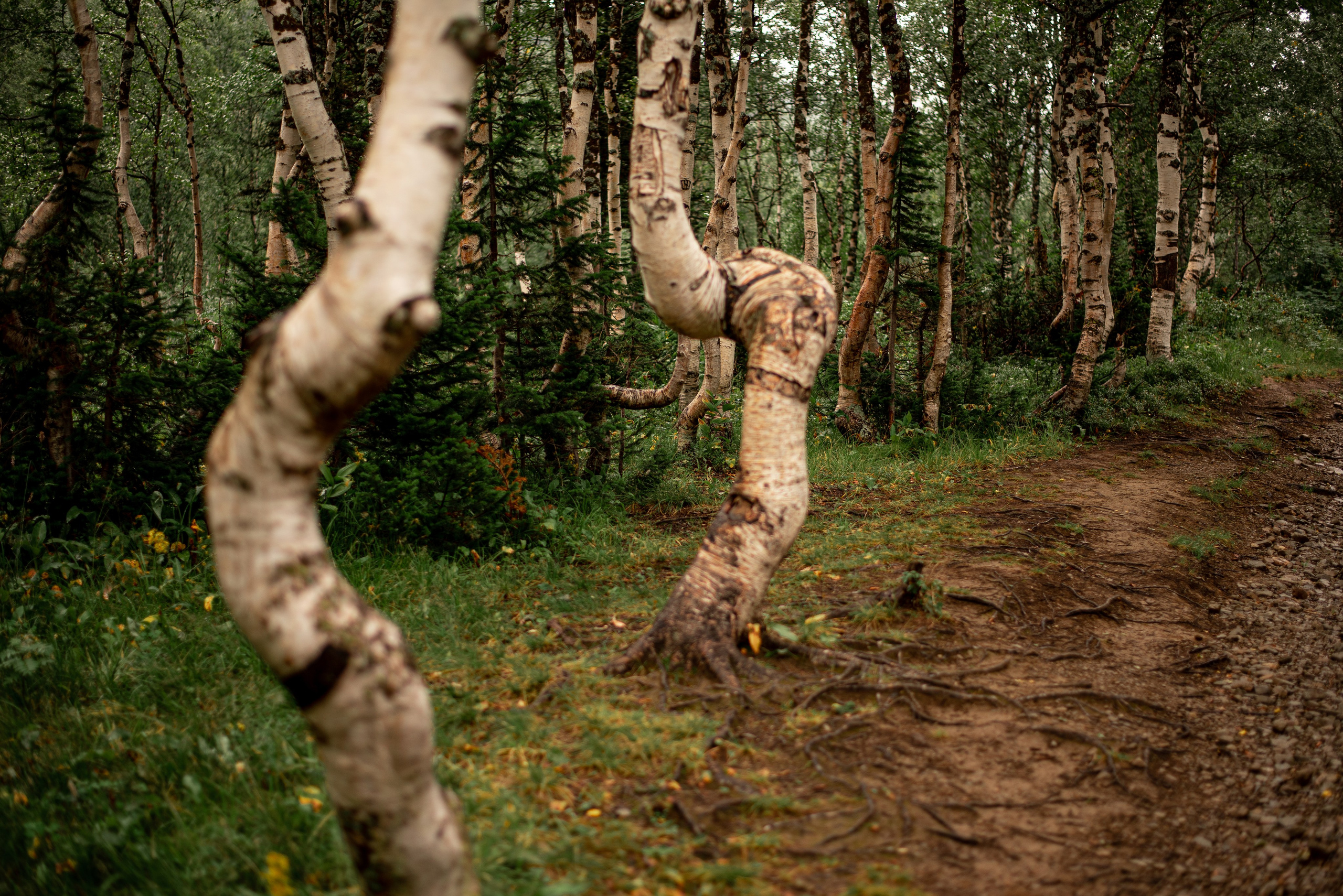 Ивановские озера. Приподаева Алёна семейный и детский фотограф в Красноярске