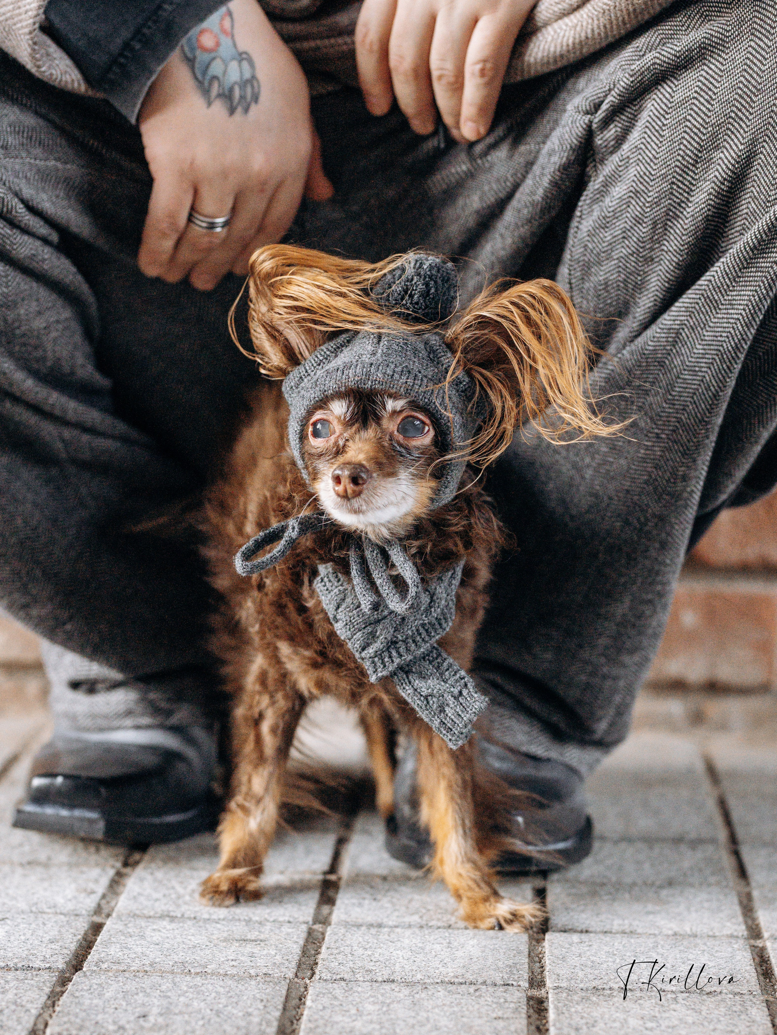 Зося и Антон. Фотограф-анималист в Москве Кириллова Татьяна