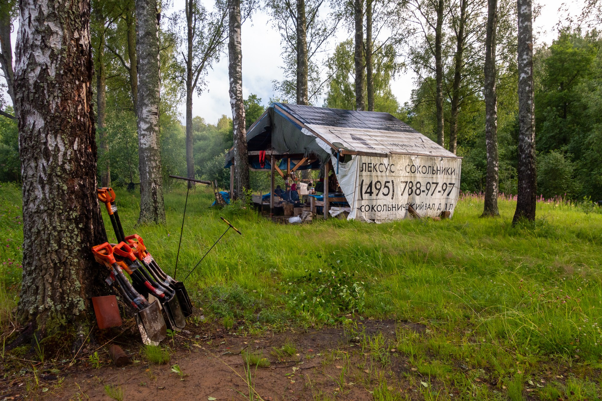 Высота 2019. Фотограф Алексей Скоробогатько