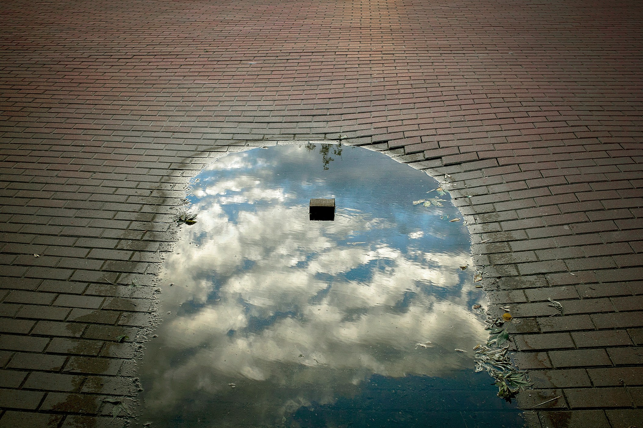 Симуляторы (Каталог № 1). Главная