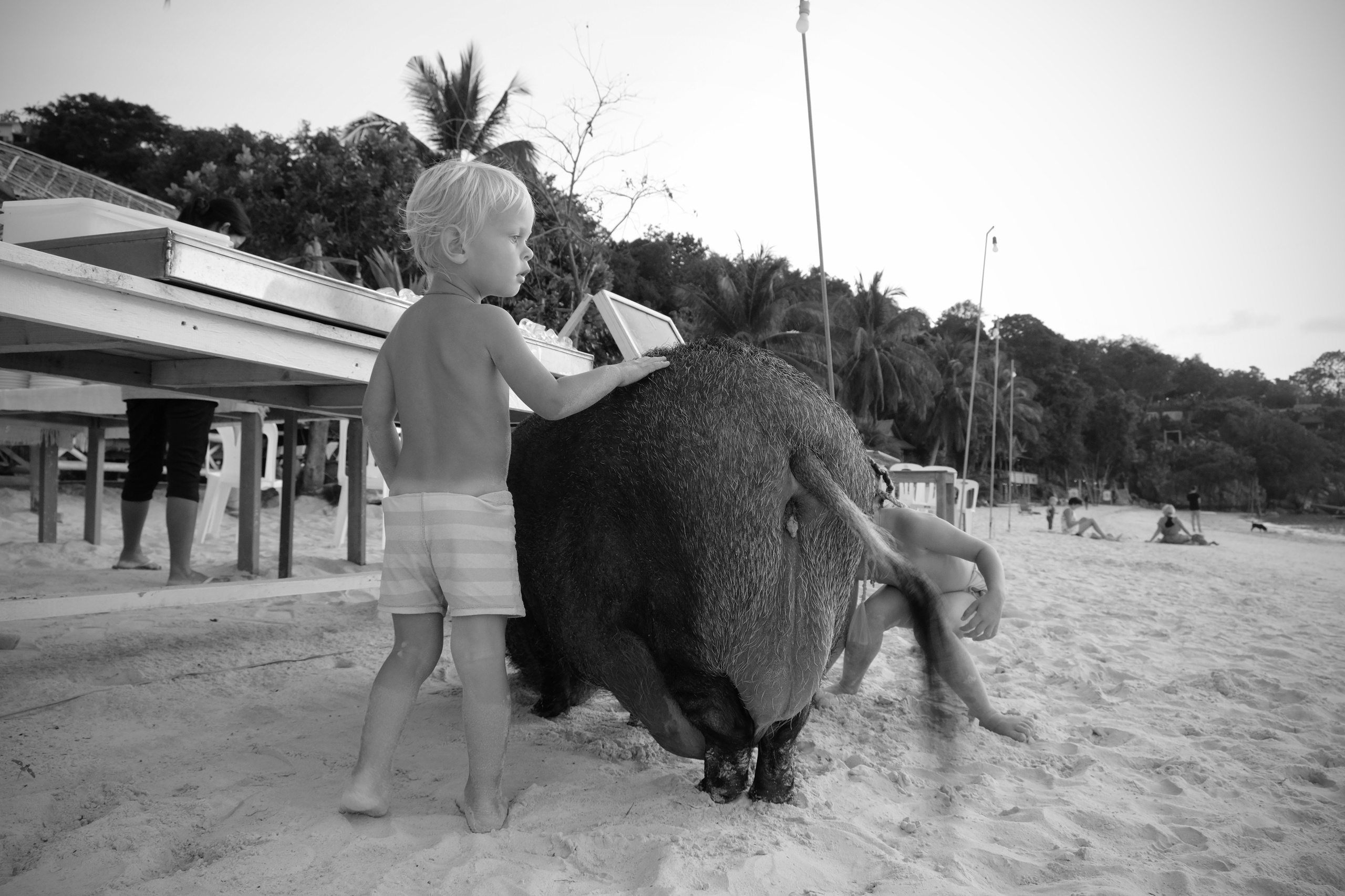 Street/ Thailand/ 2020. Anna Fedo Photo