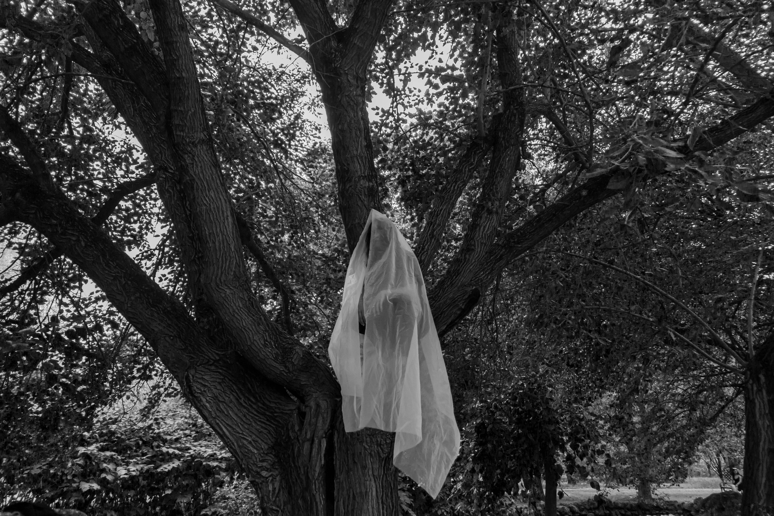 Связаны. Аник фотограф Симферополь, Крым