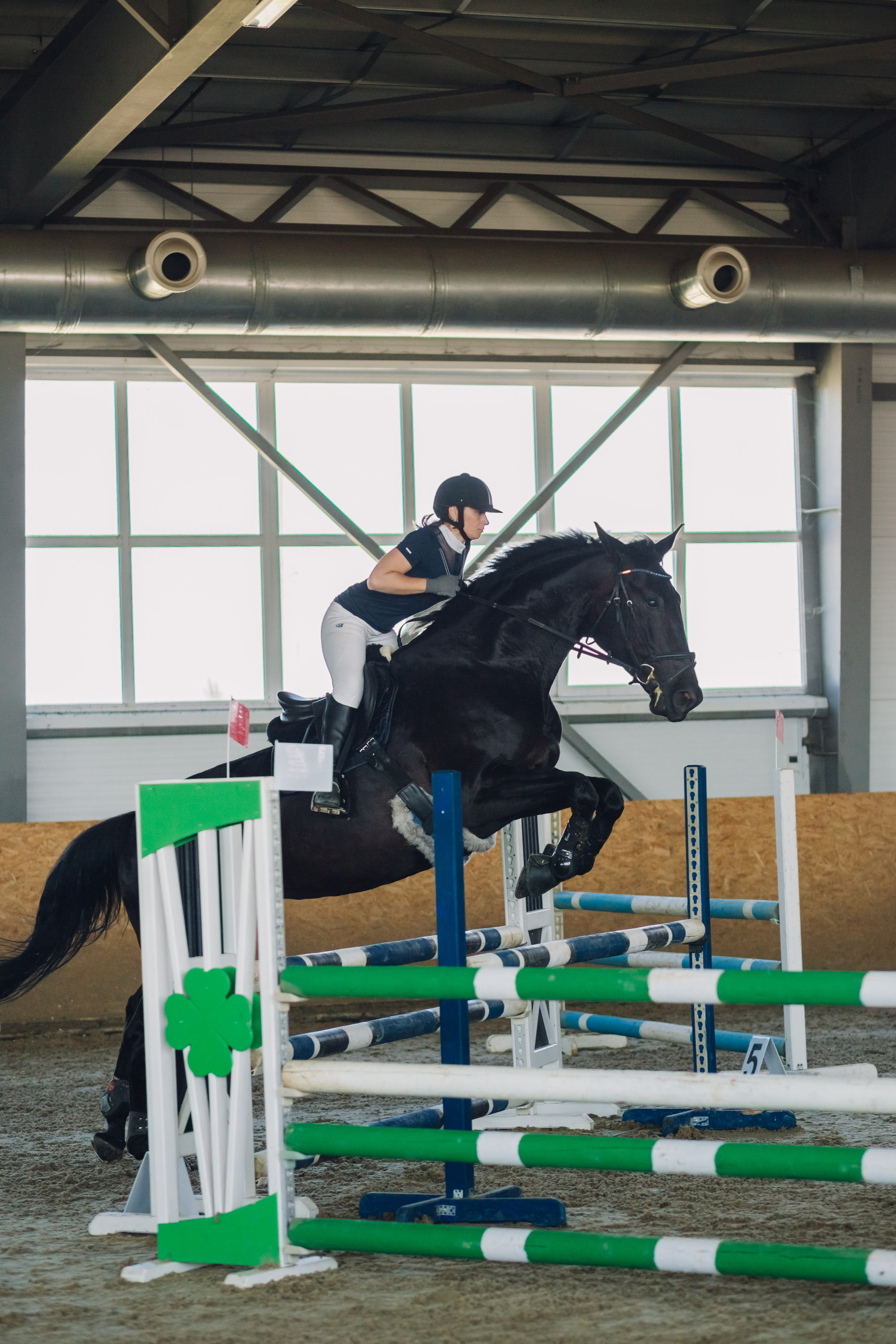 Соревнования. Ольга Белова. Портреты с лошадьми. Конная фотография