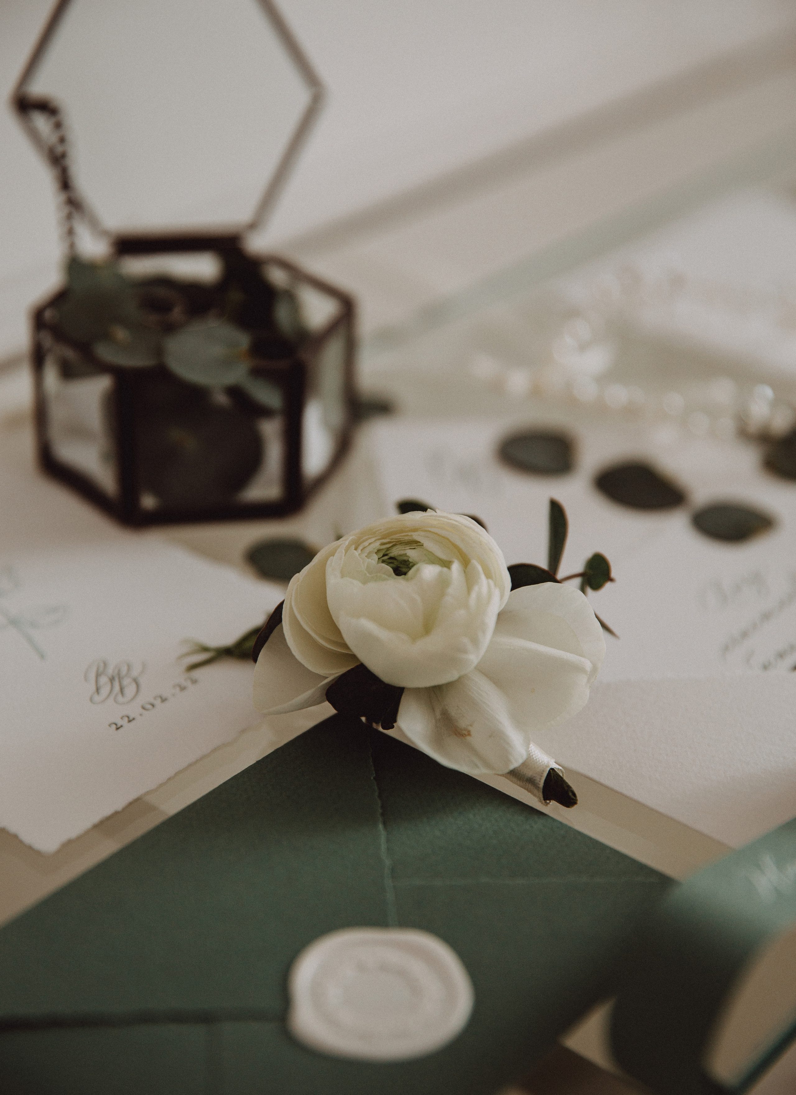 Виолетта & Влад. Фотограф в Краснодаре и Краснодарском крае