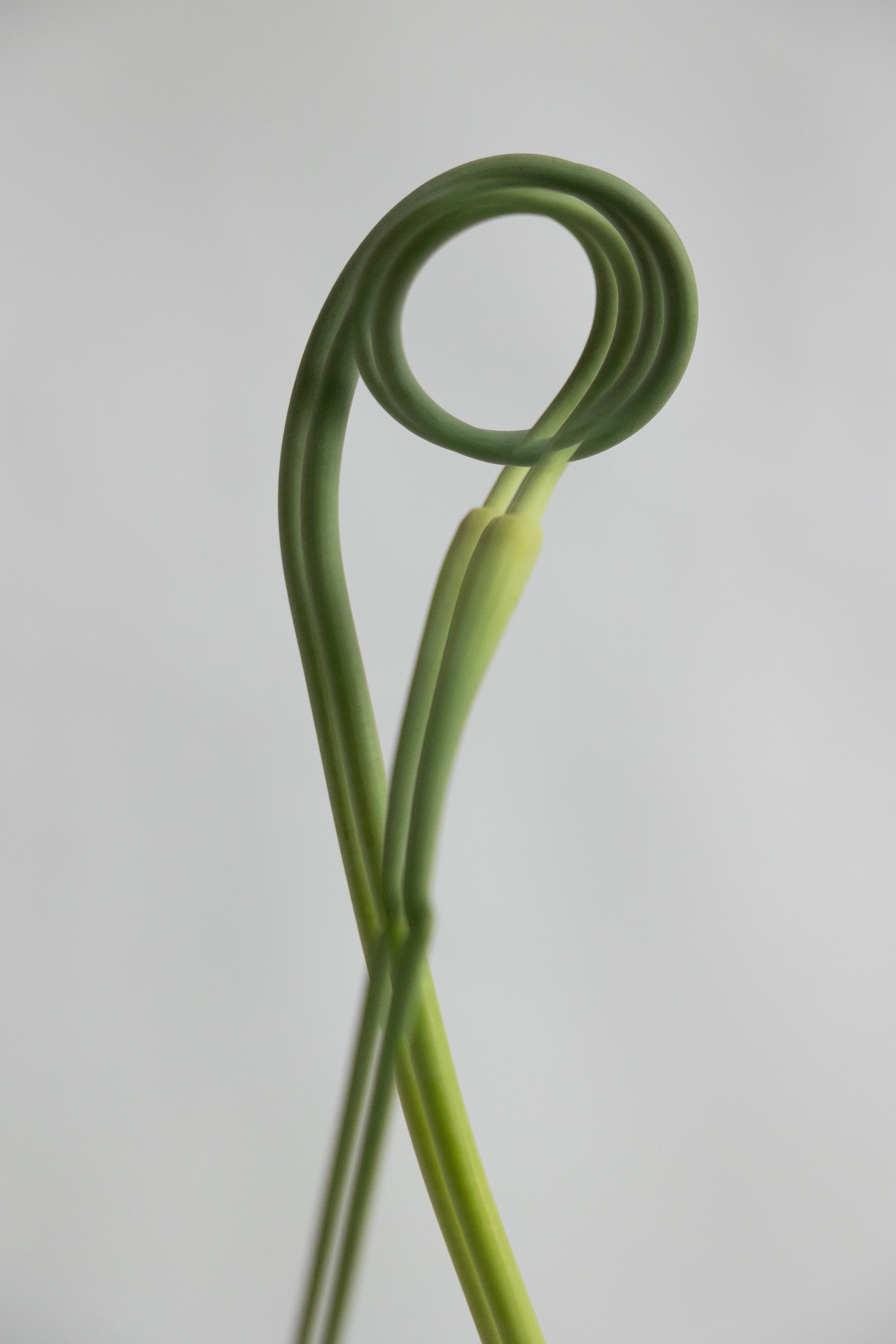 Art prints. Фотограф алина стерхова, алина стерхова фотограф, фотограф москва