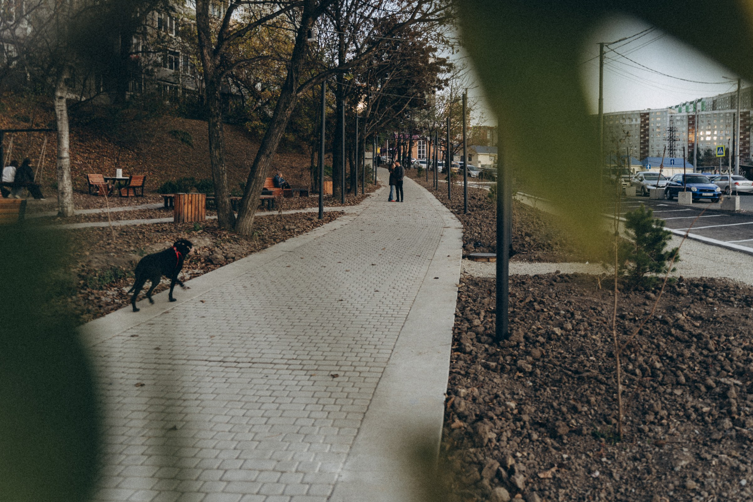 Светик и Саша 5 минут. Nadia Fay