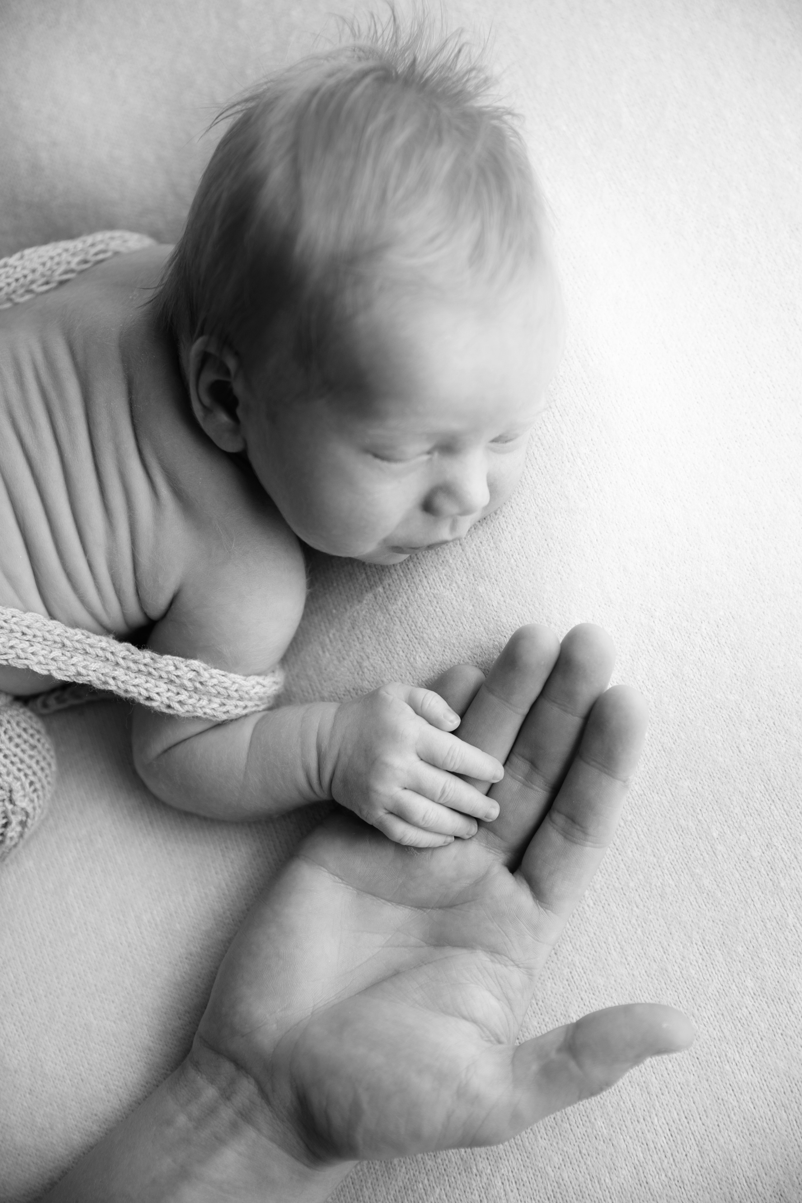 «Фотографии новорожденных малышей " «Фотосессия новорожденных». Фотограф новорожденных, детский фотограф  Москва.Семейная съемка Москва. Семенова Анна