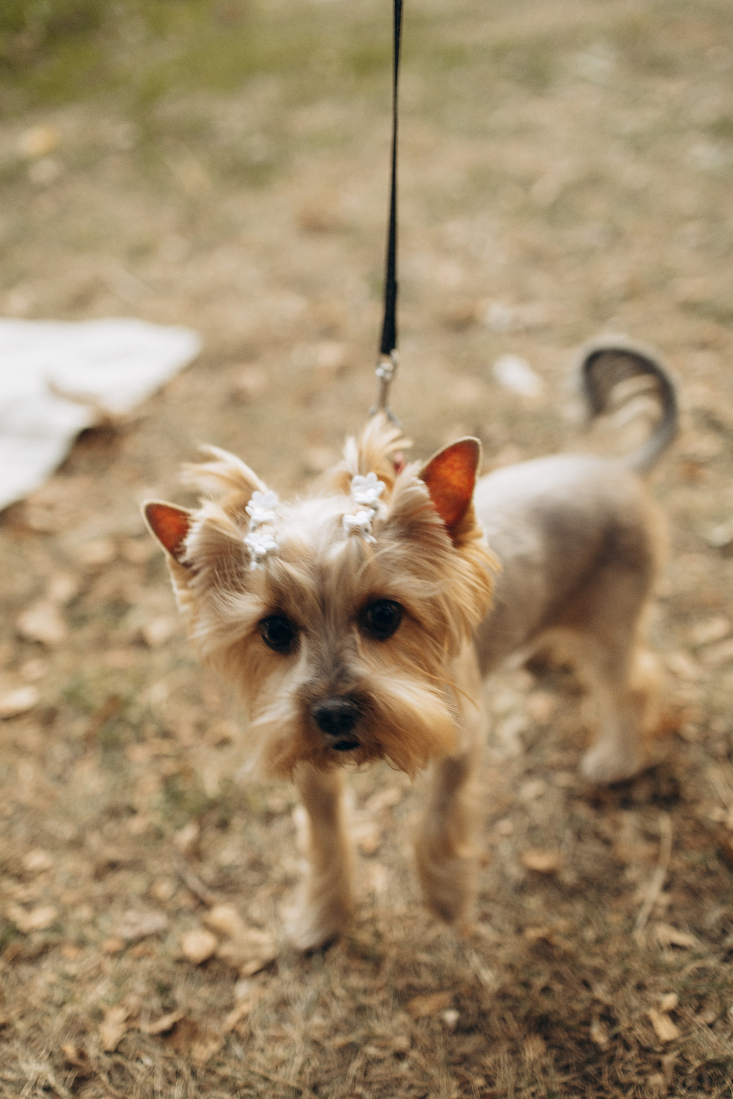 Влад и Ксюша. Самый теплый фотограф в Краснодаре Рябоконь Ксения