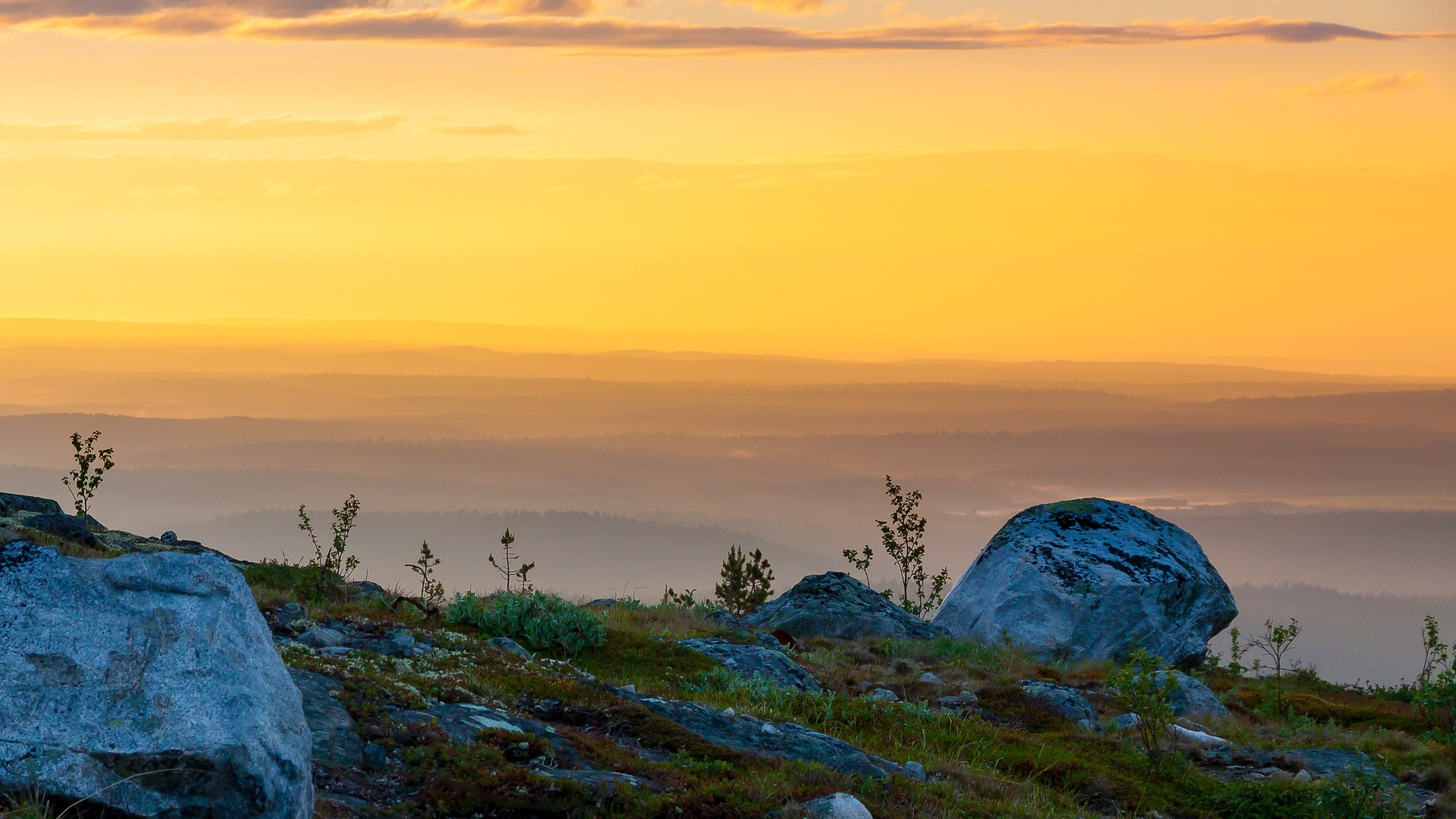 Тундра Лес и Сопки. Пейзажи Крайнего Севера. Баренцево море, Рыбачий, Средний, Немецкий