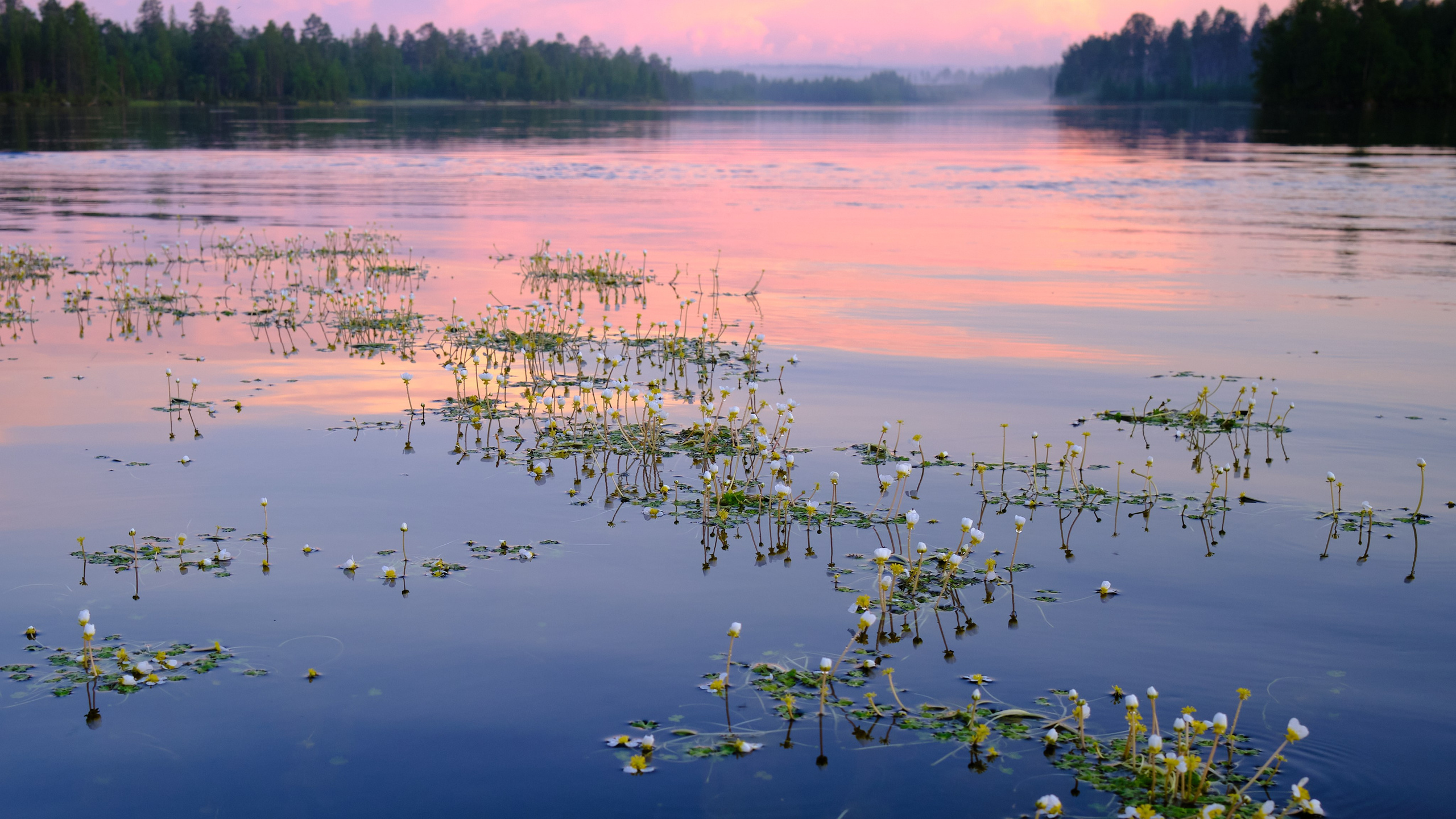 Река Паз. Пейзажи Крайнего Севера. Баренцево море, Рыбачий, Средний, Немецкий