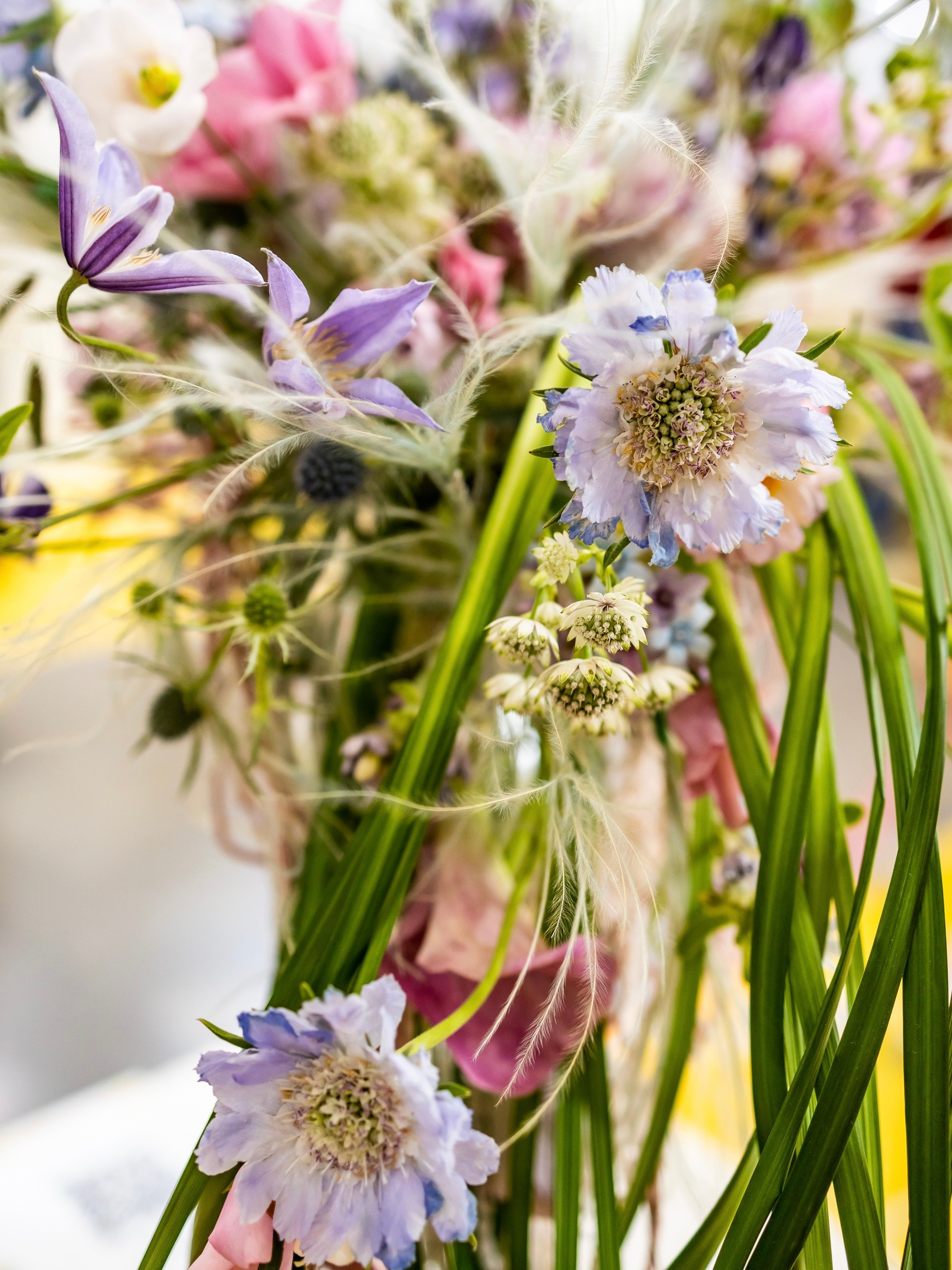 Цветы-Экспо 2024. Фотосессии и репортаж — Фотограф в Москве — Рина Серёгина