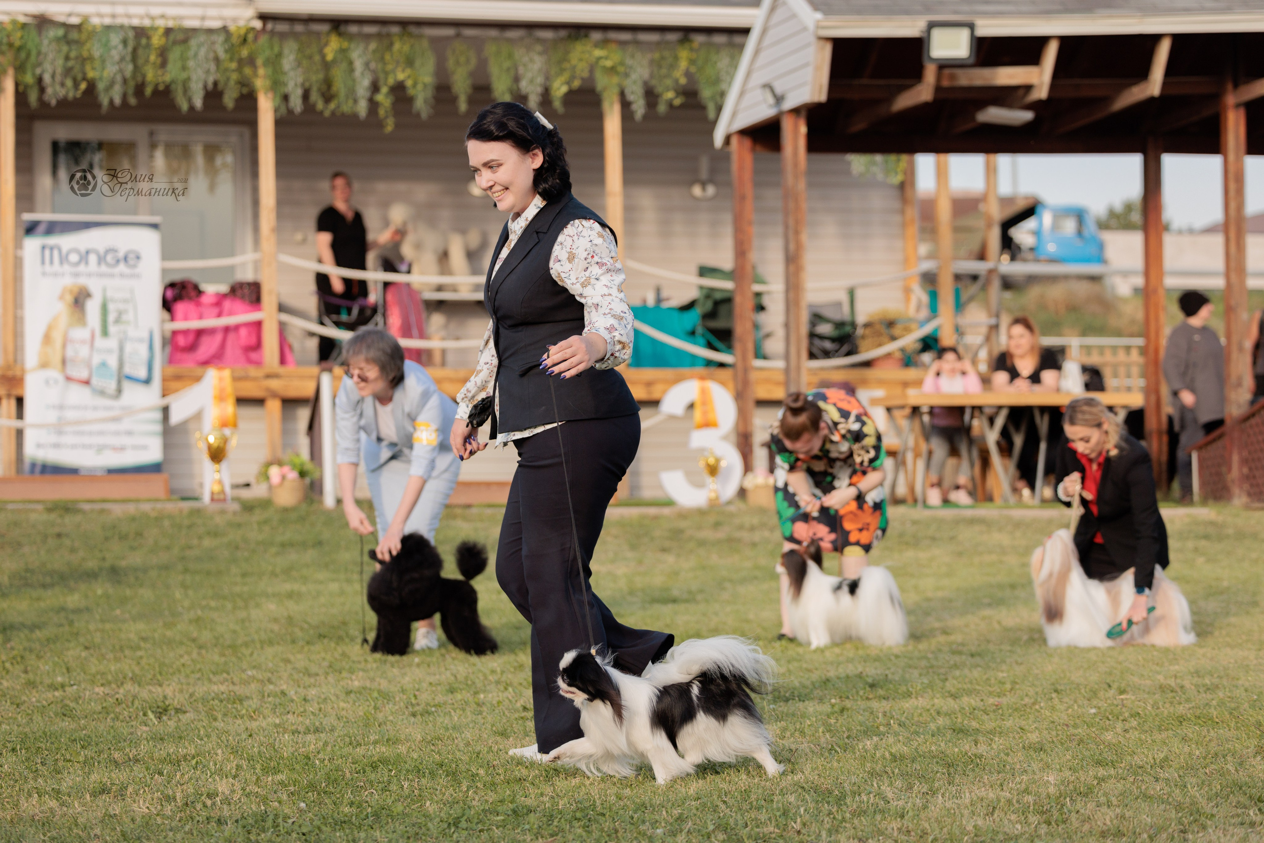 Армения,Ереван 3хCACIB 15-17.10.2024. Фотограф-анималист Юлия Германика