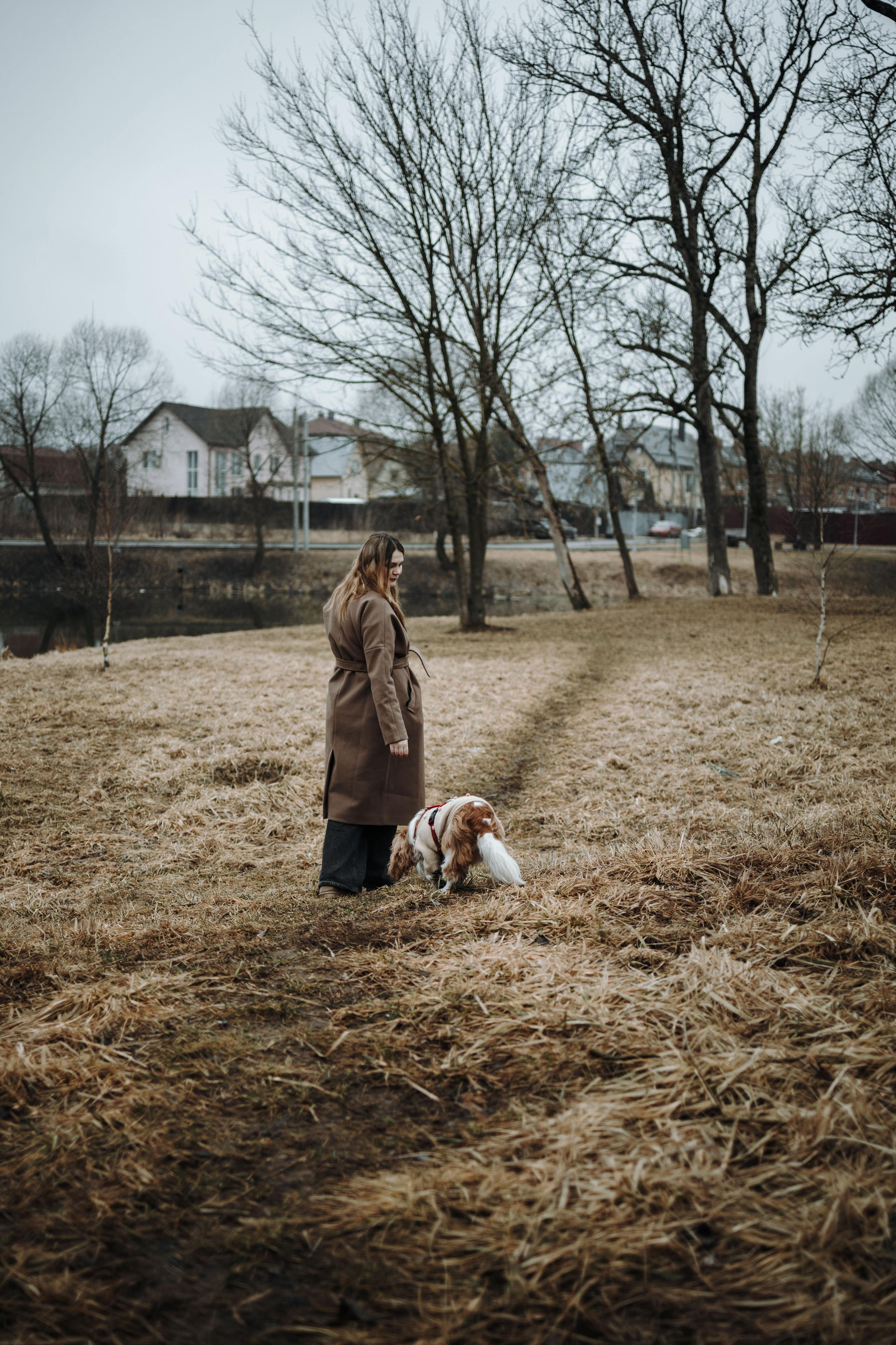 Любовь и Альтаир