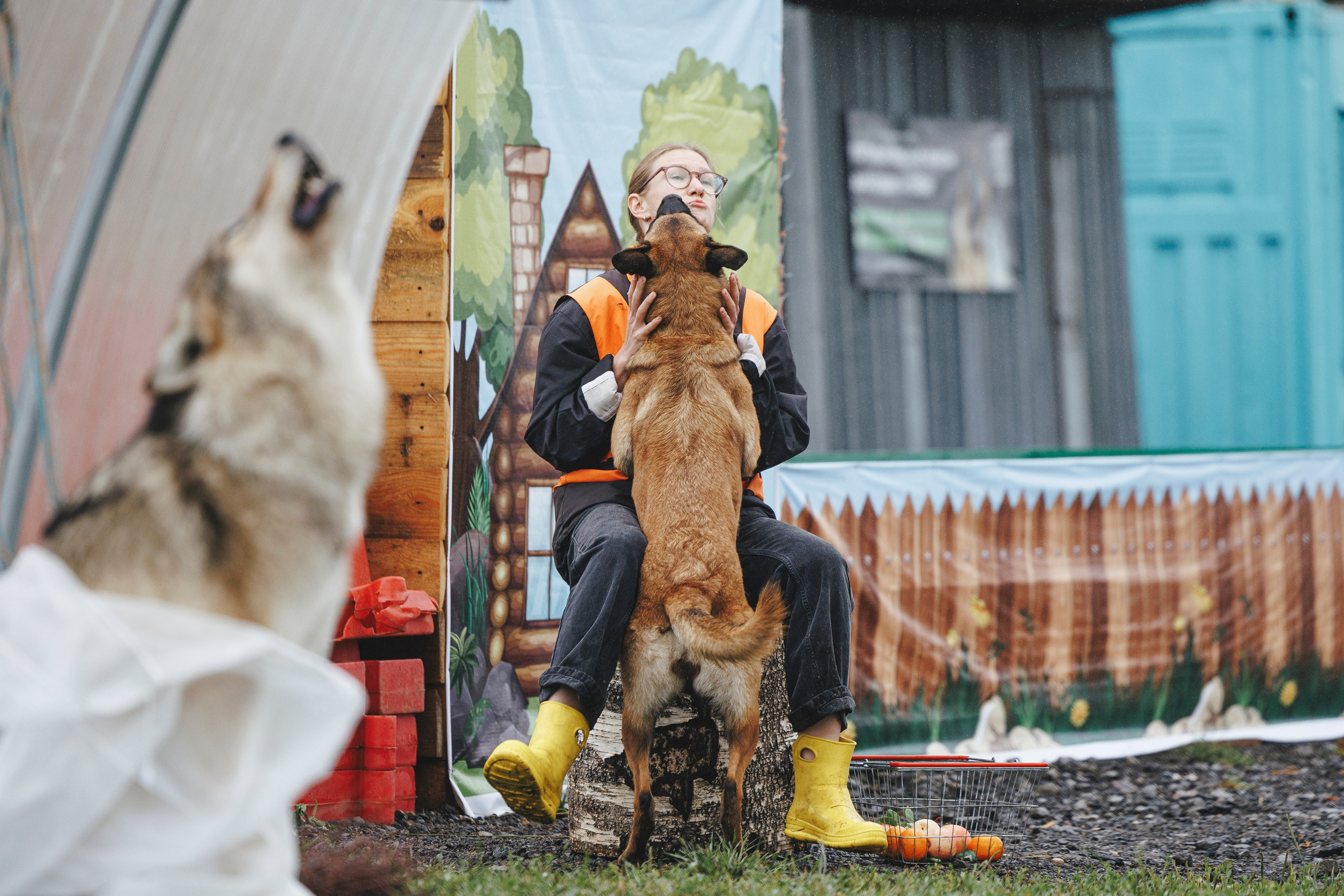 08.08.25-10.08.25 ЧР по мондьорингу г. Вологда. Фотограф-анималист Анна Маринич