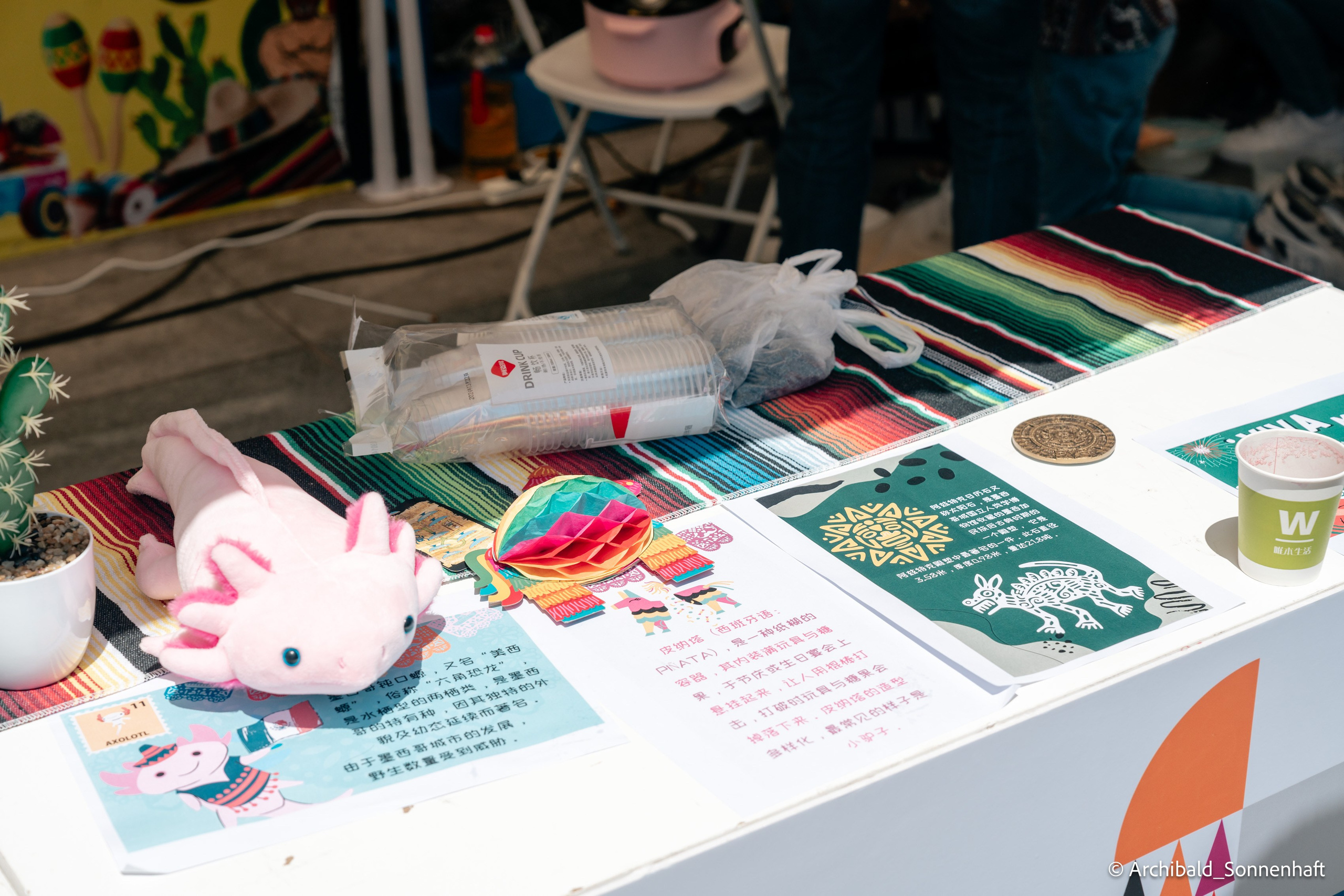 TJU Cultural Festival. Photographer in Guangzhou, China. Archibald Sonnenhaft